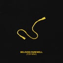 Beloved Farewell (For Nina)
