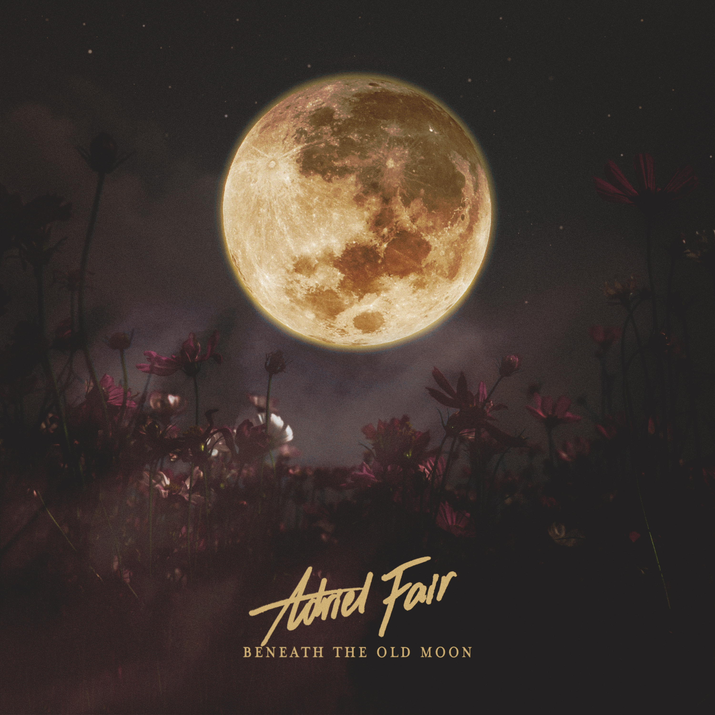 Beneath the Old Moon