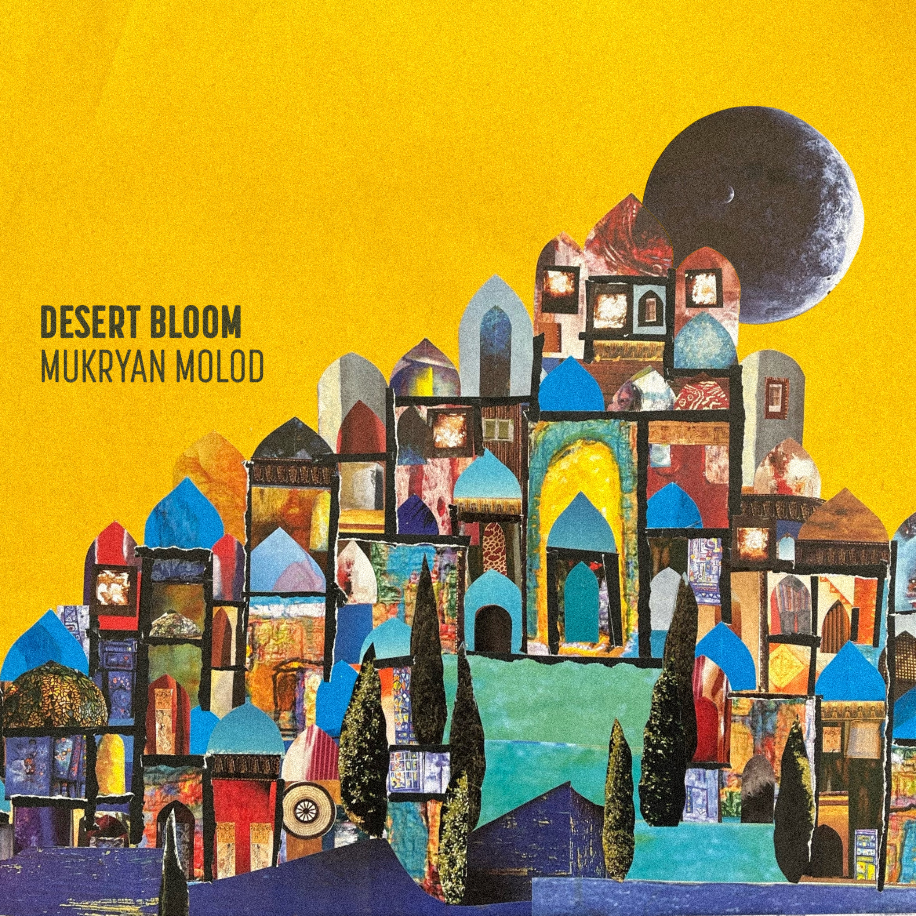 Desert Bloom