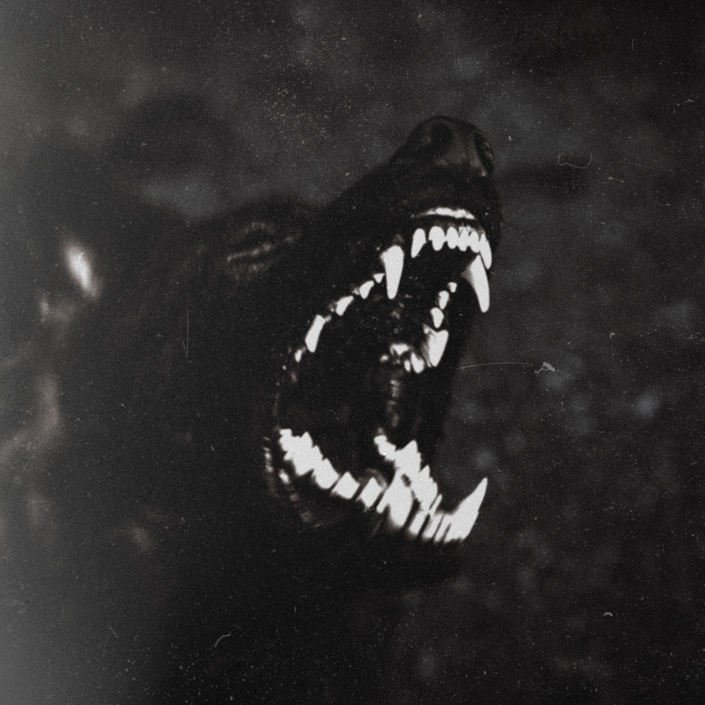 Howl like a Wolf (dreem Remix) (Instrumental Version)