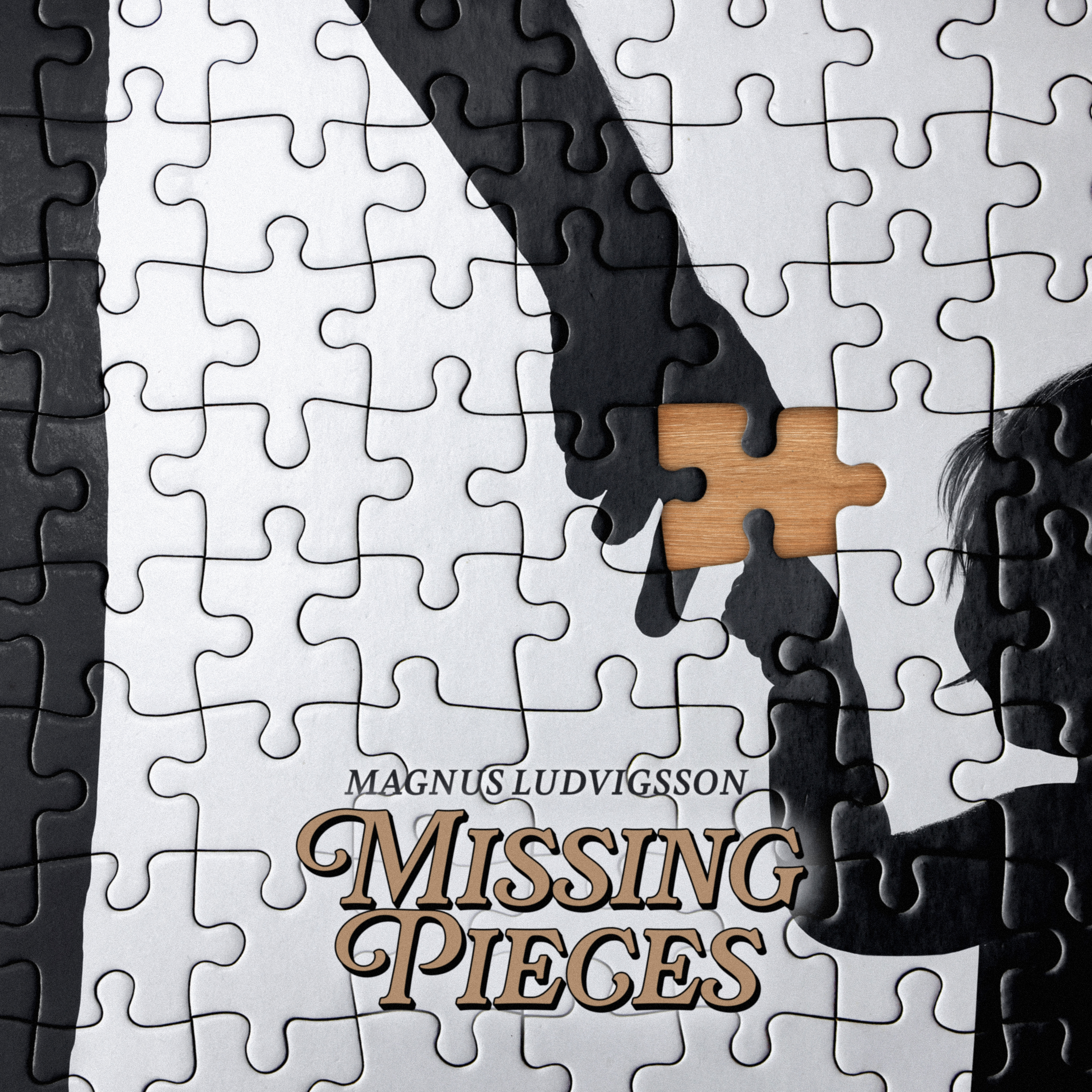 Missing Pieces