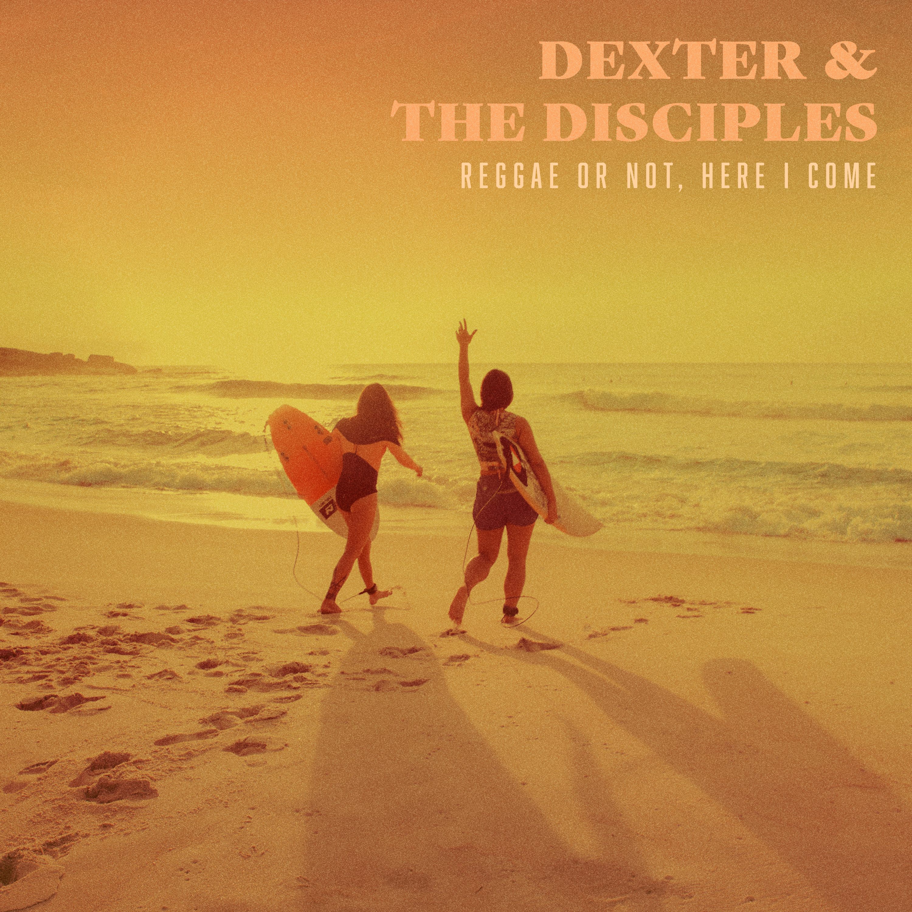 Reggae or Not, Here I Come