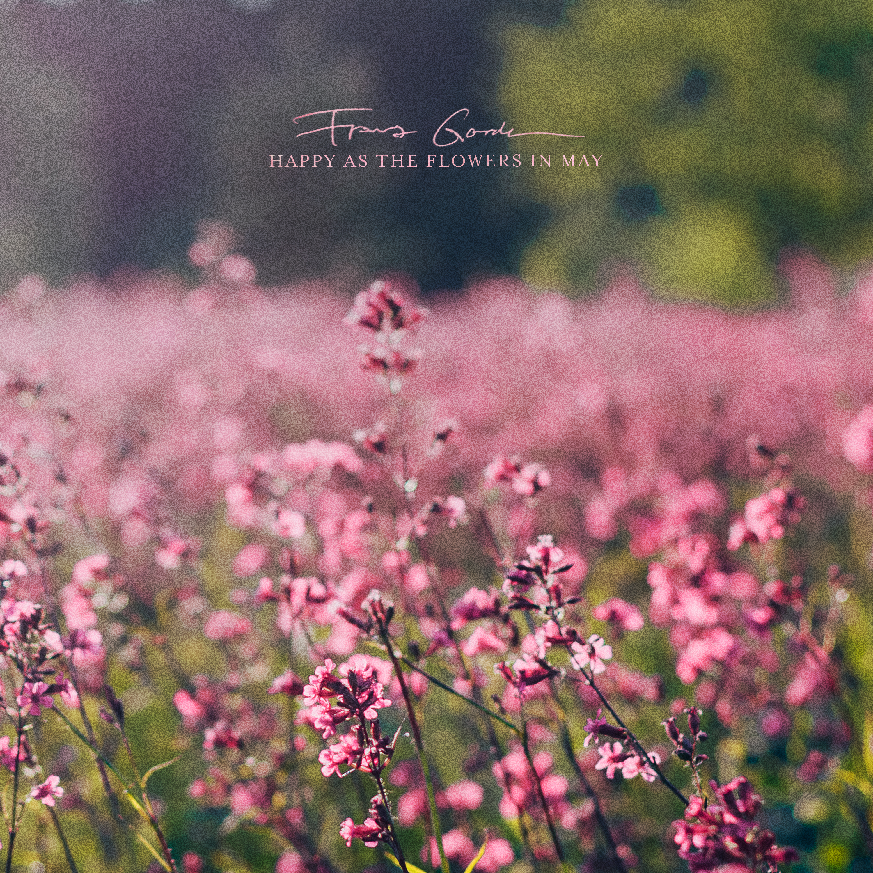 Happy as the Flowers in May