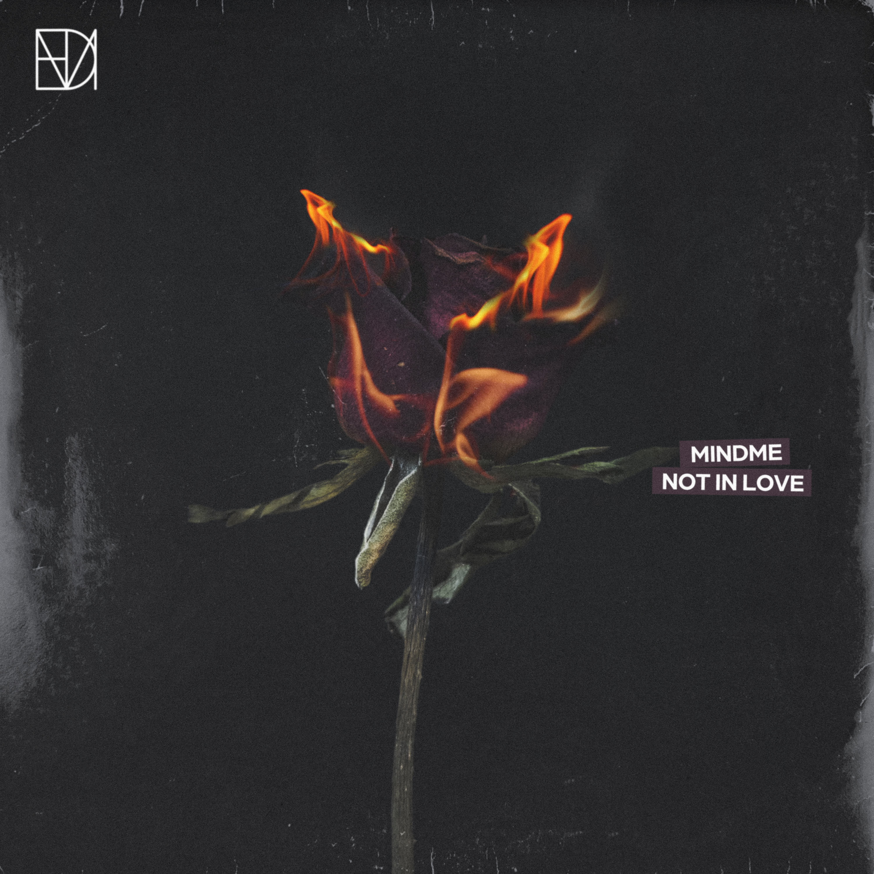 Not in Love (Instrumental Version)