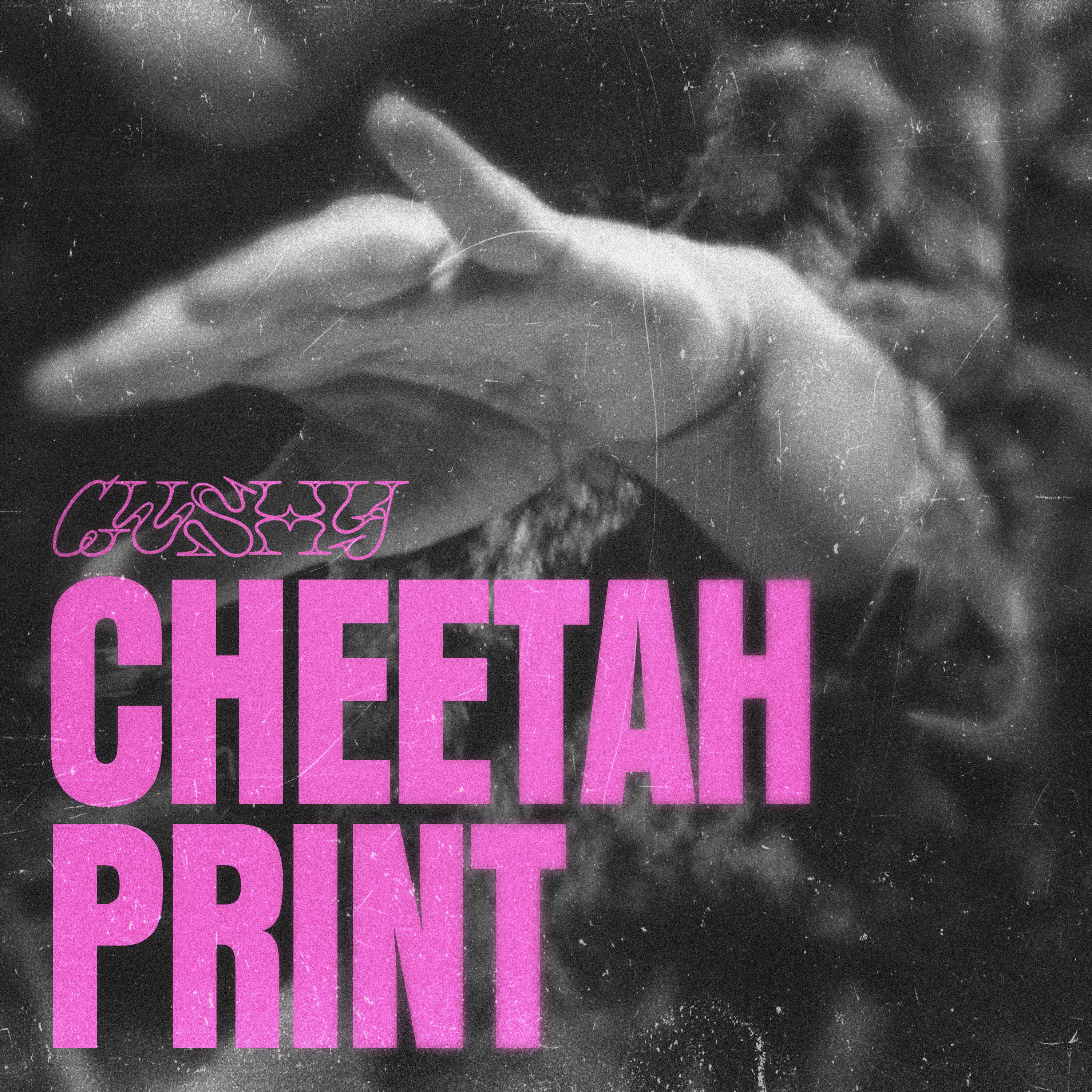 Cheetah Print