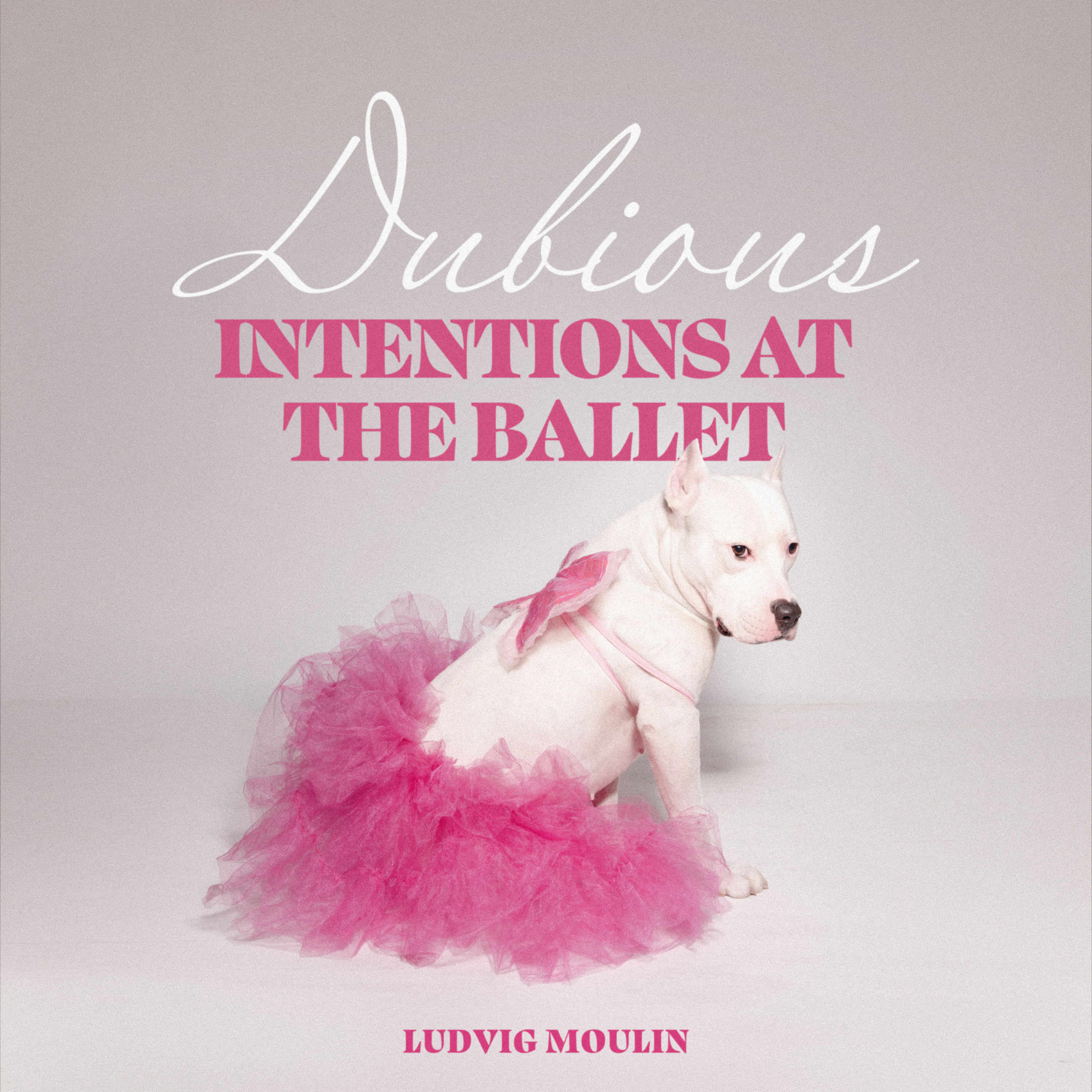 Dubious Intentions