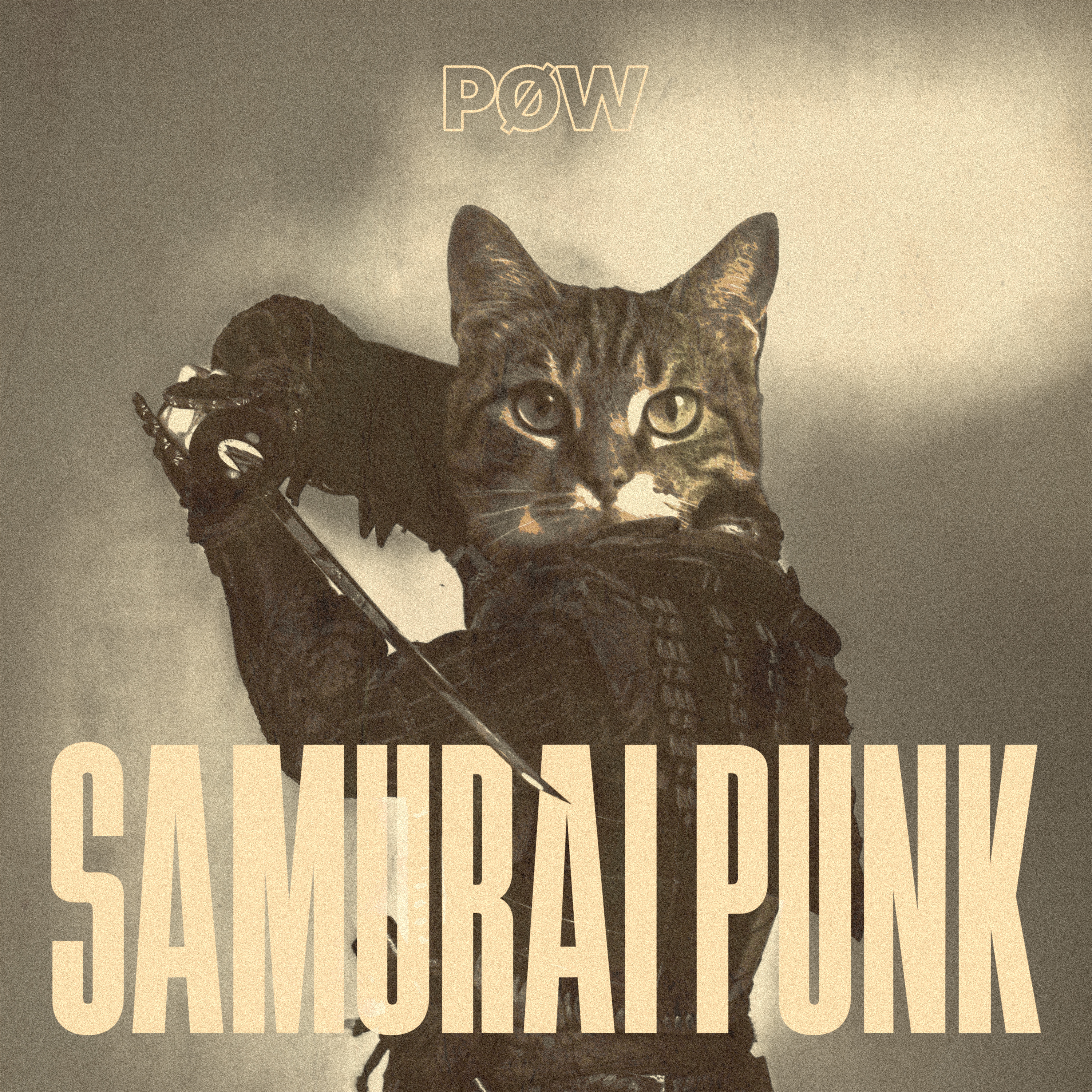 Samurai Punk