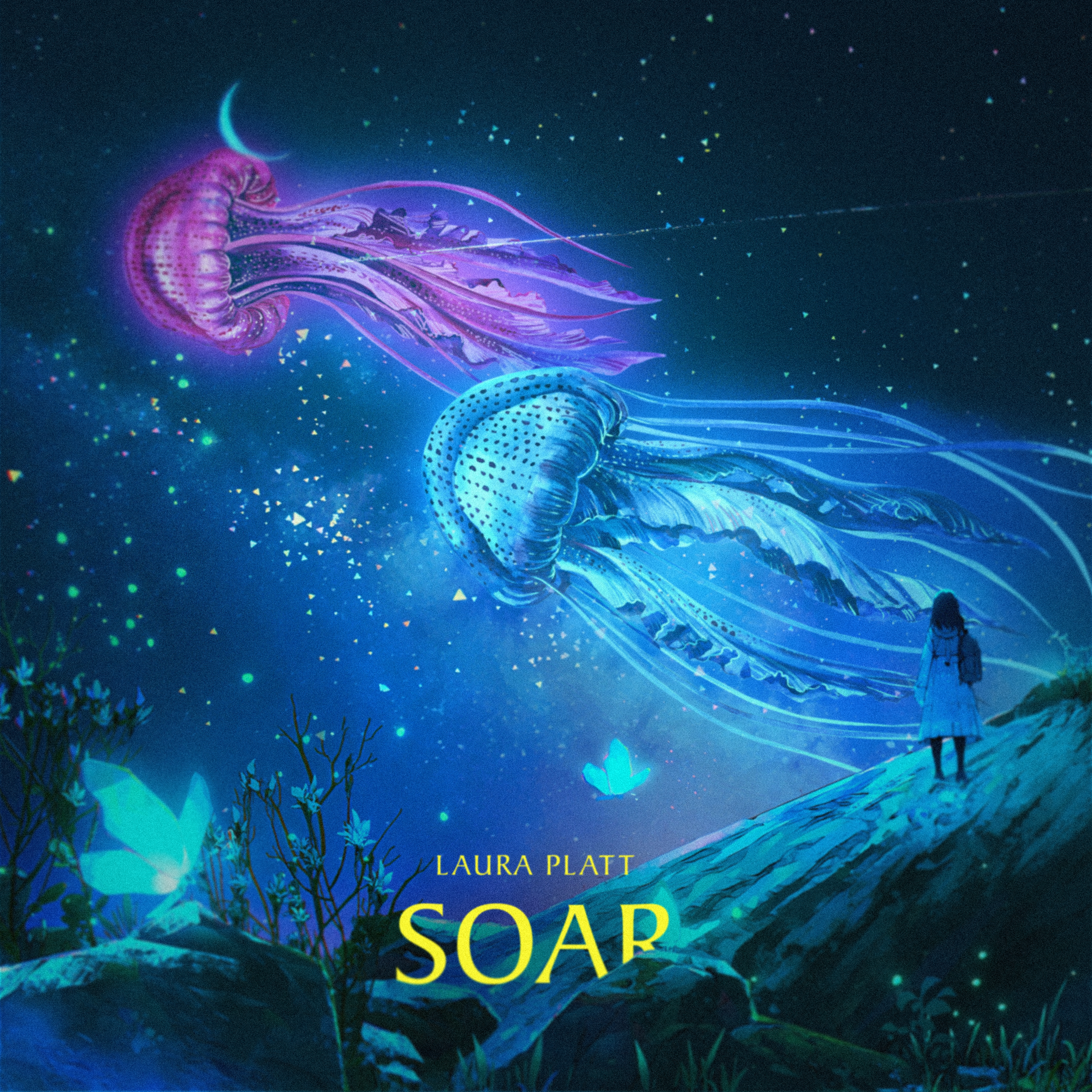 Soar