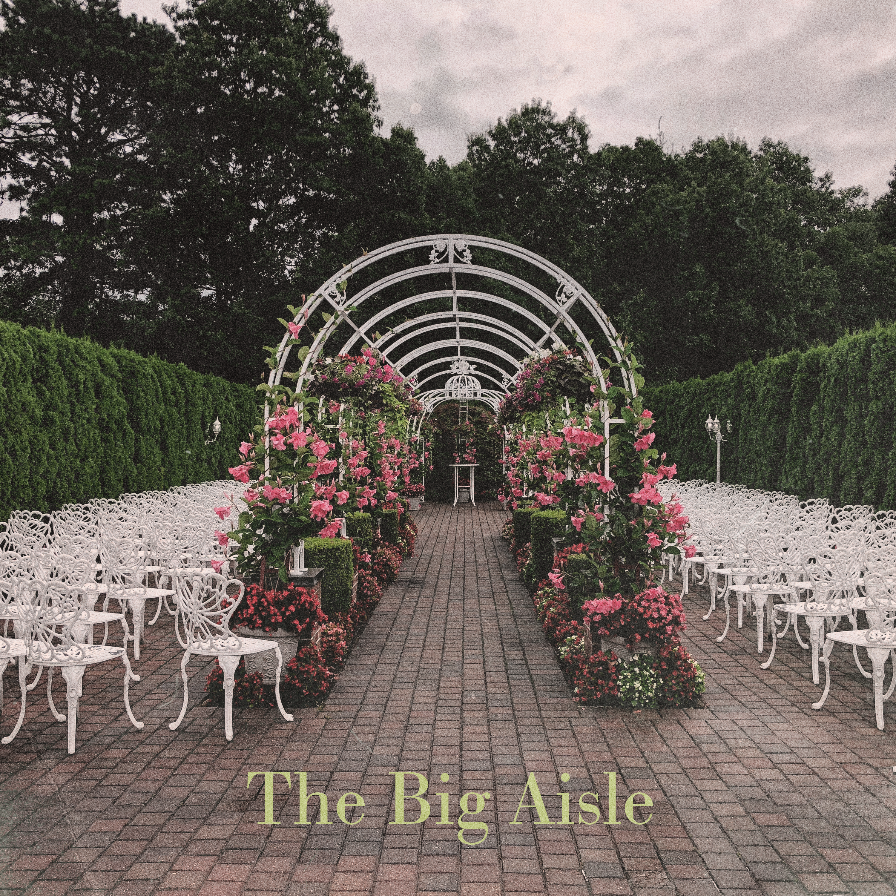 The Sunny Side of the Beat