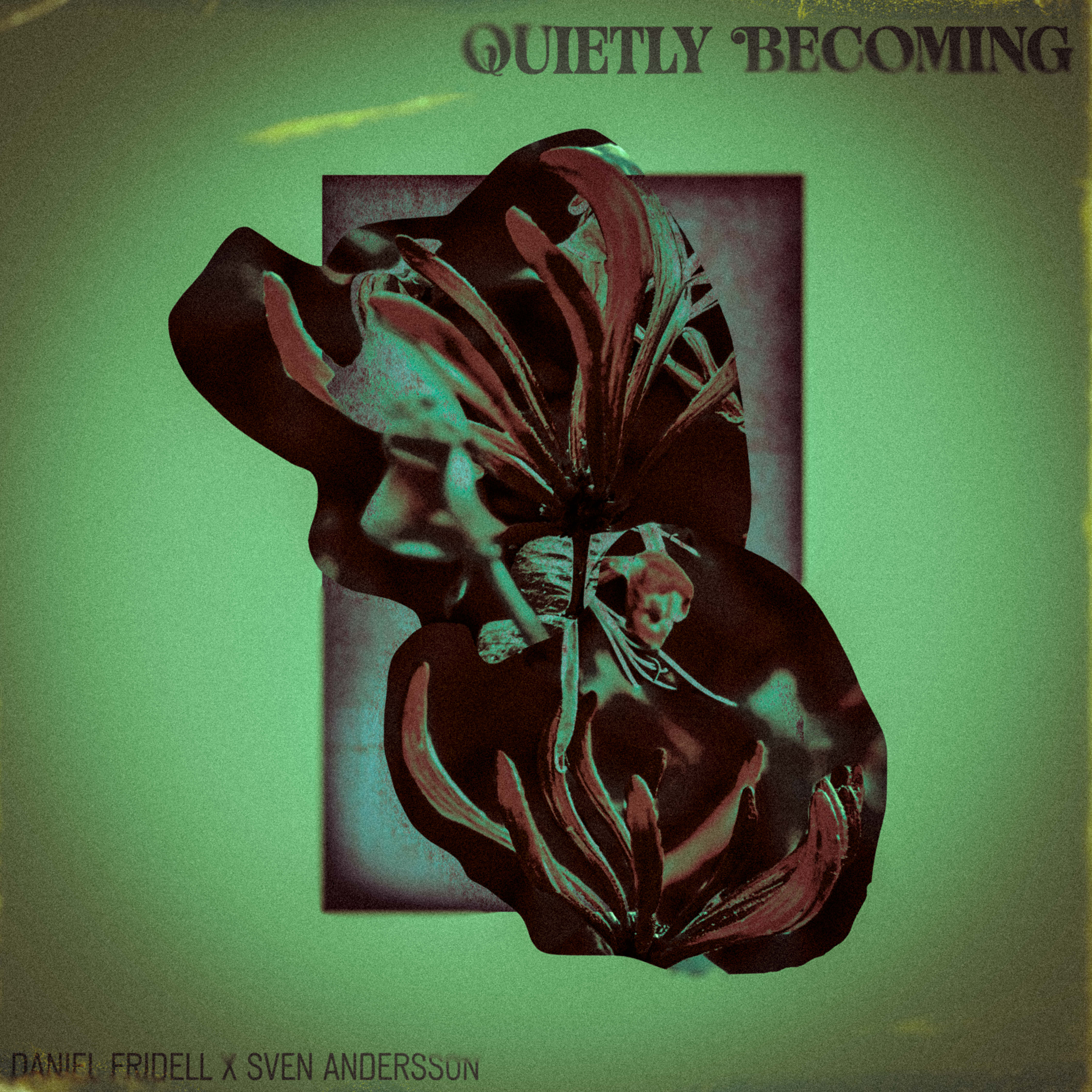 Quietly Becoming