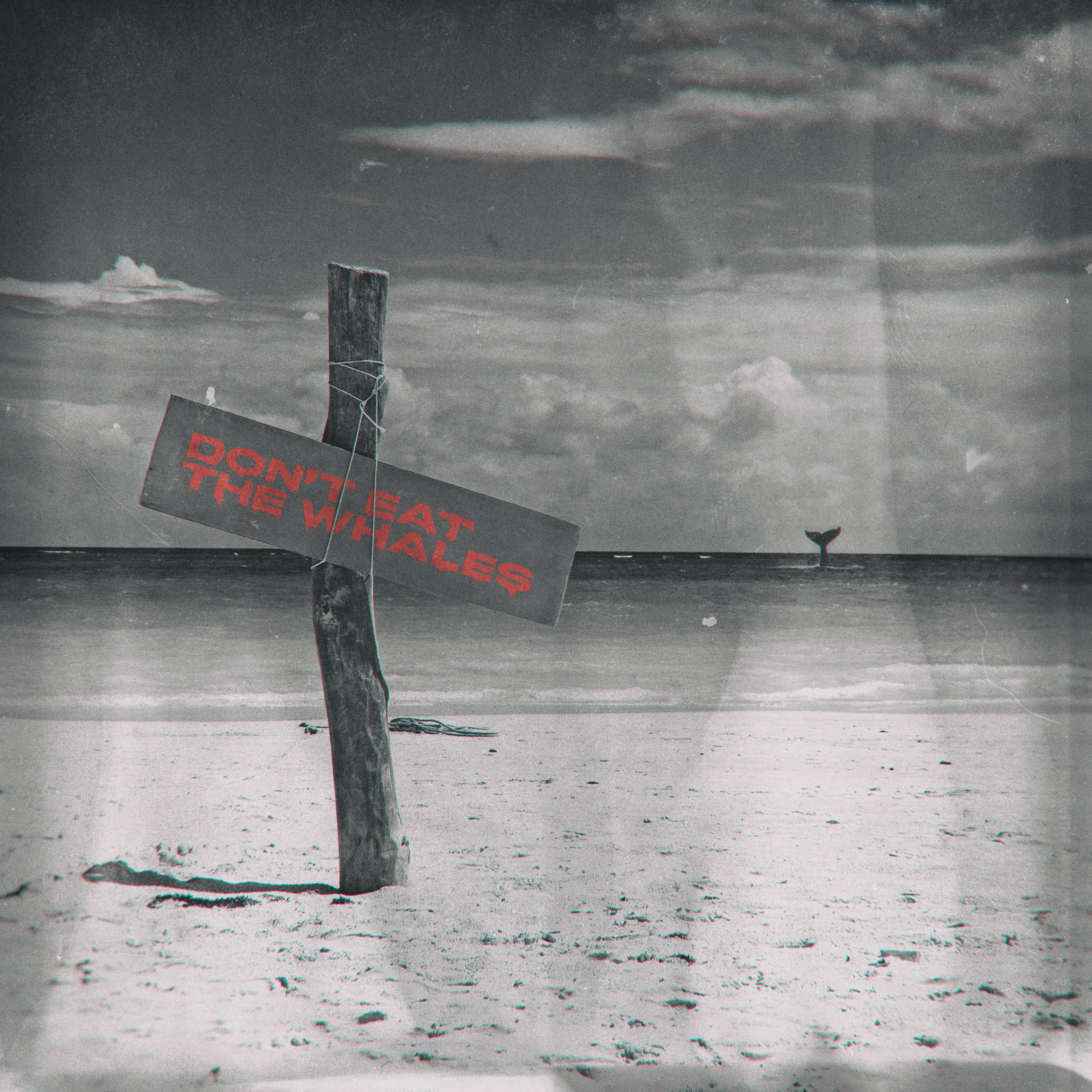 Don’t Eat the Whales