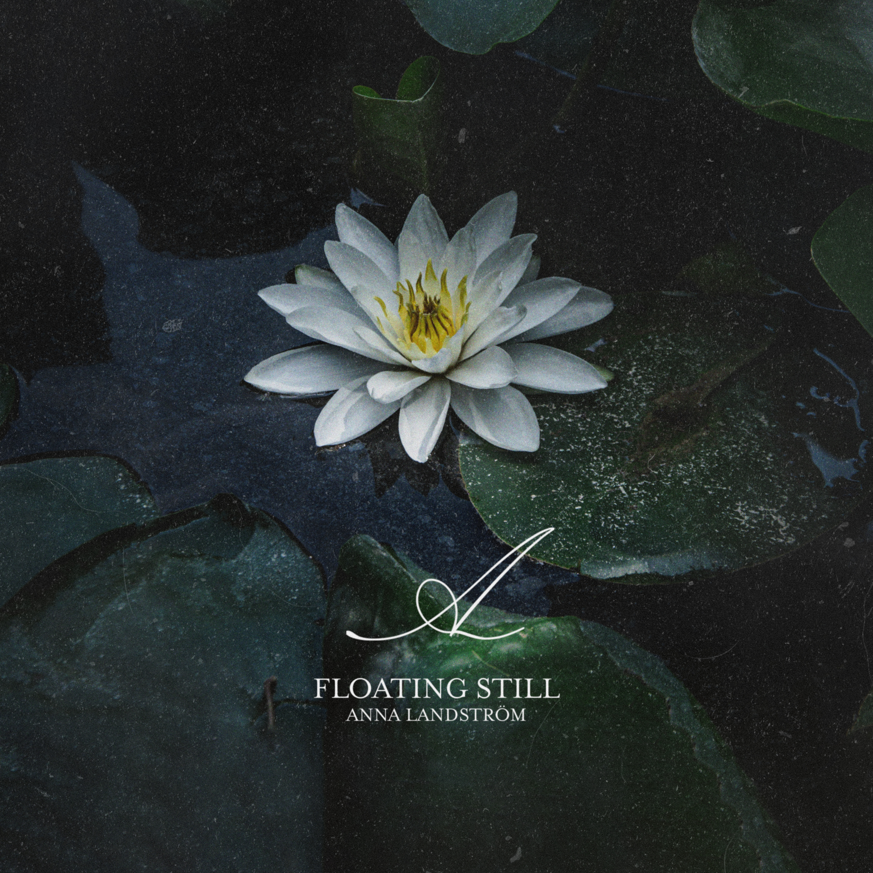 Floating Still