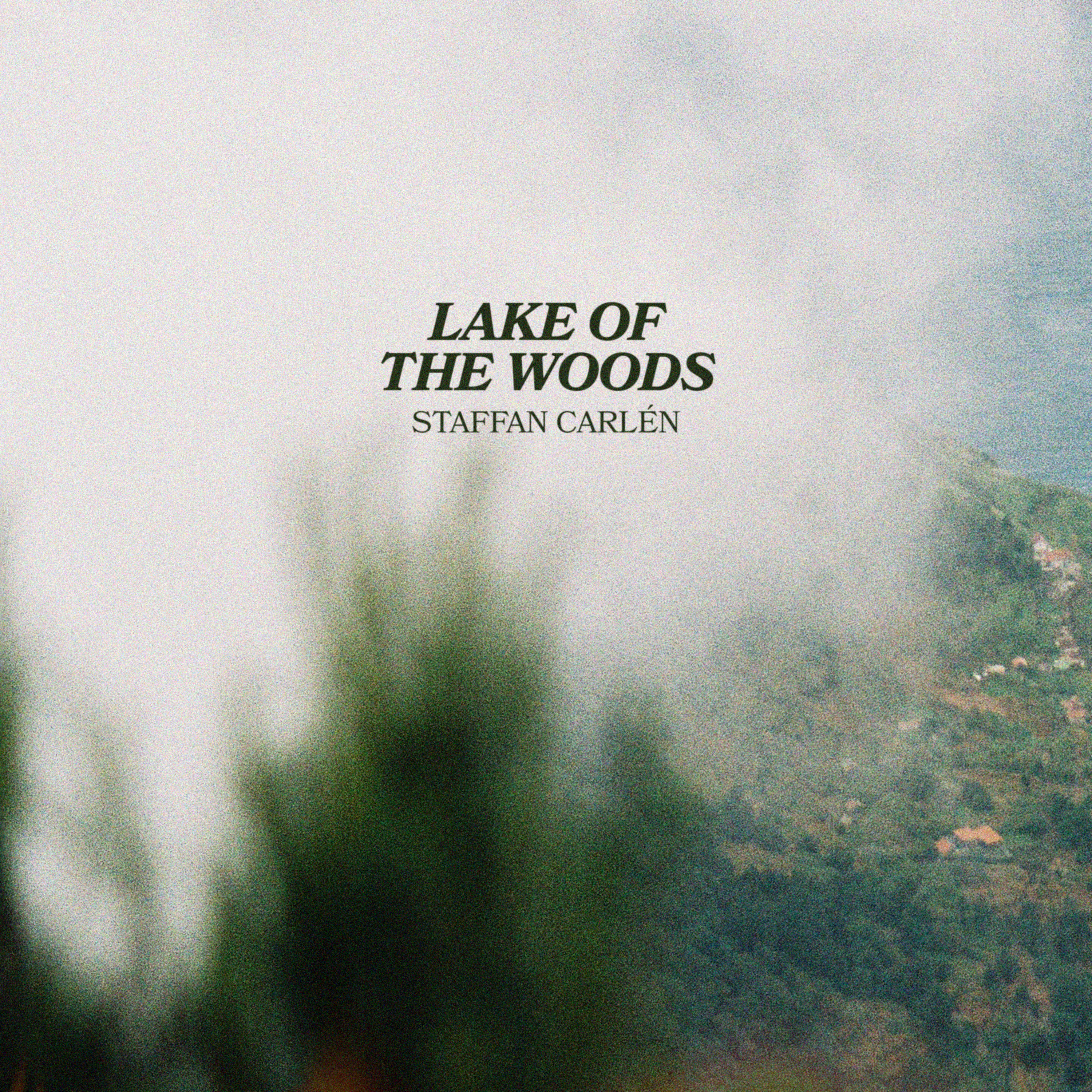 Lake of the Woods