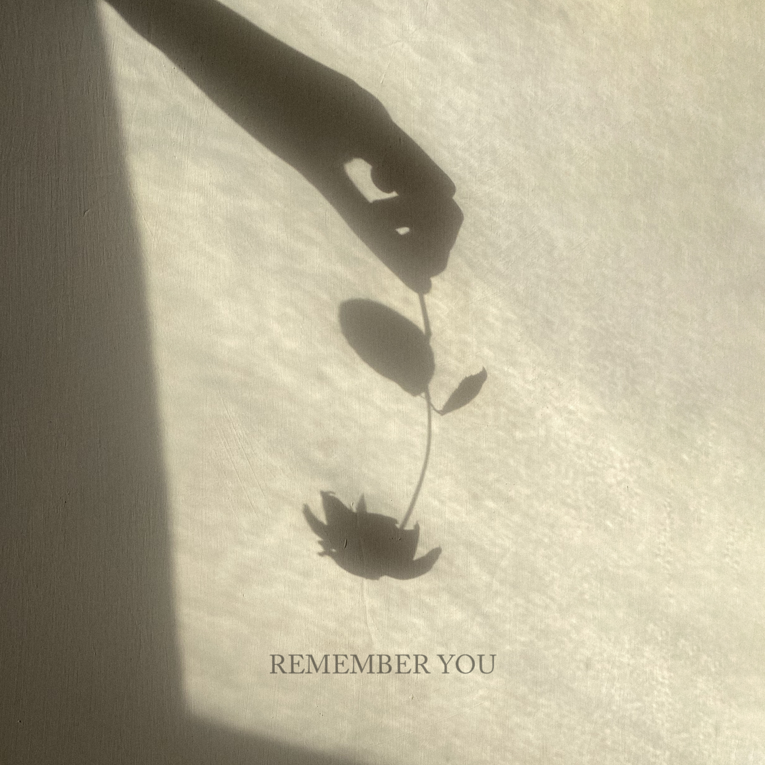 Farewell in the Battlefield