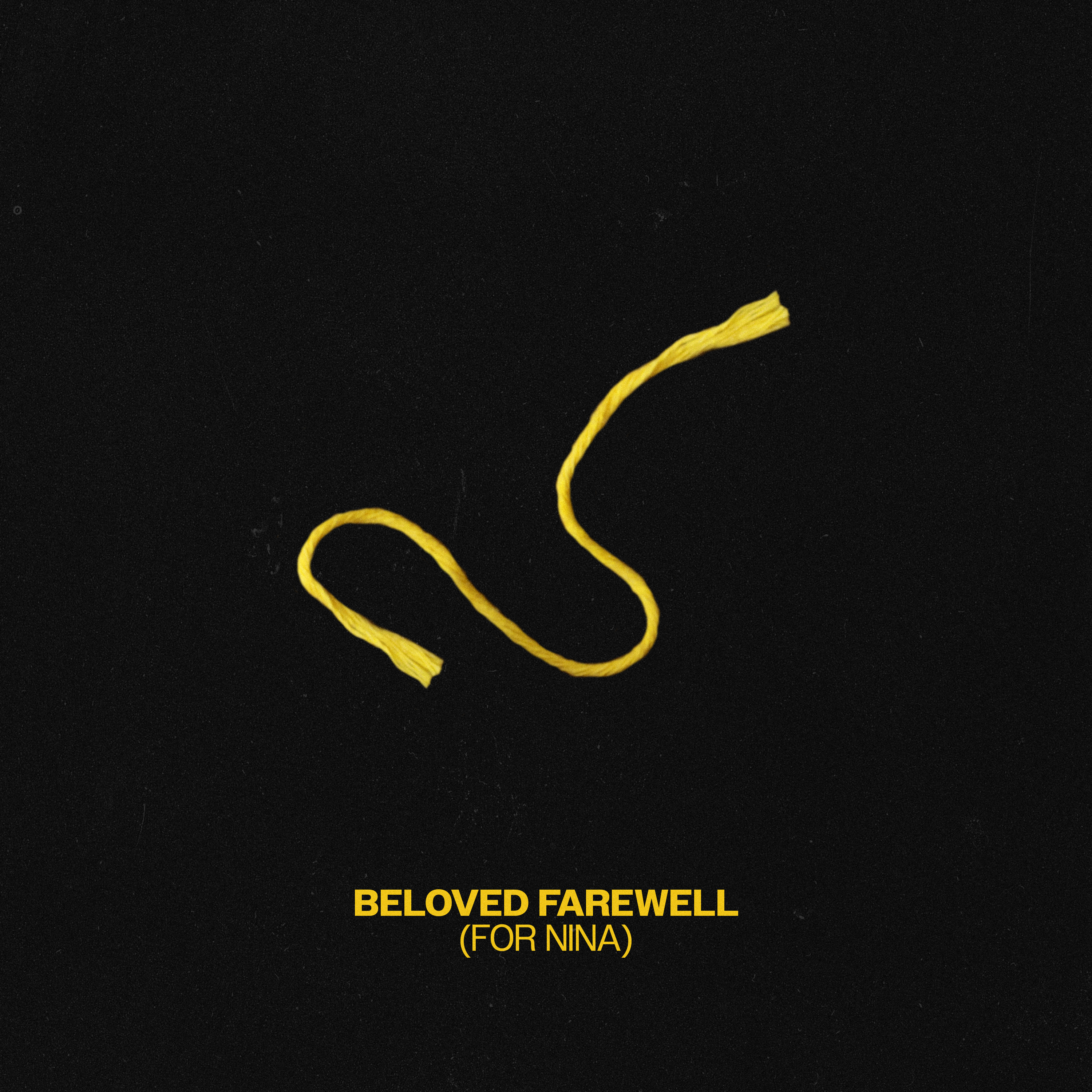Beloved Farewell (For Nina)