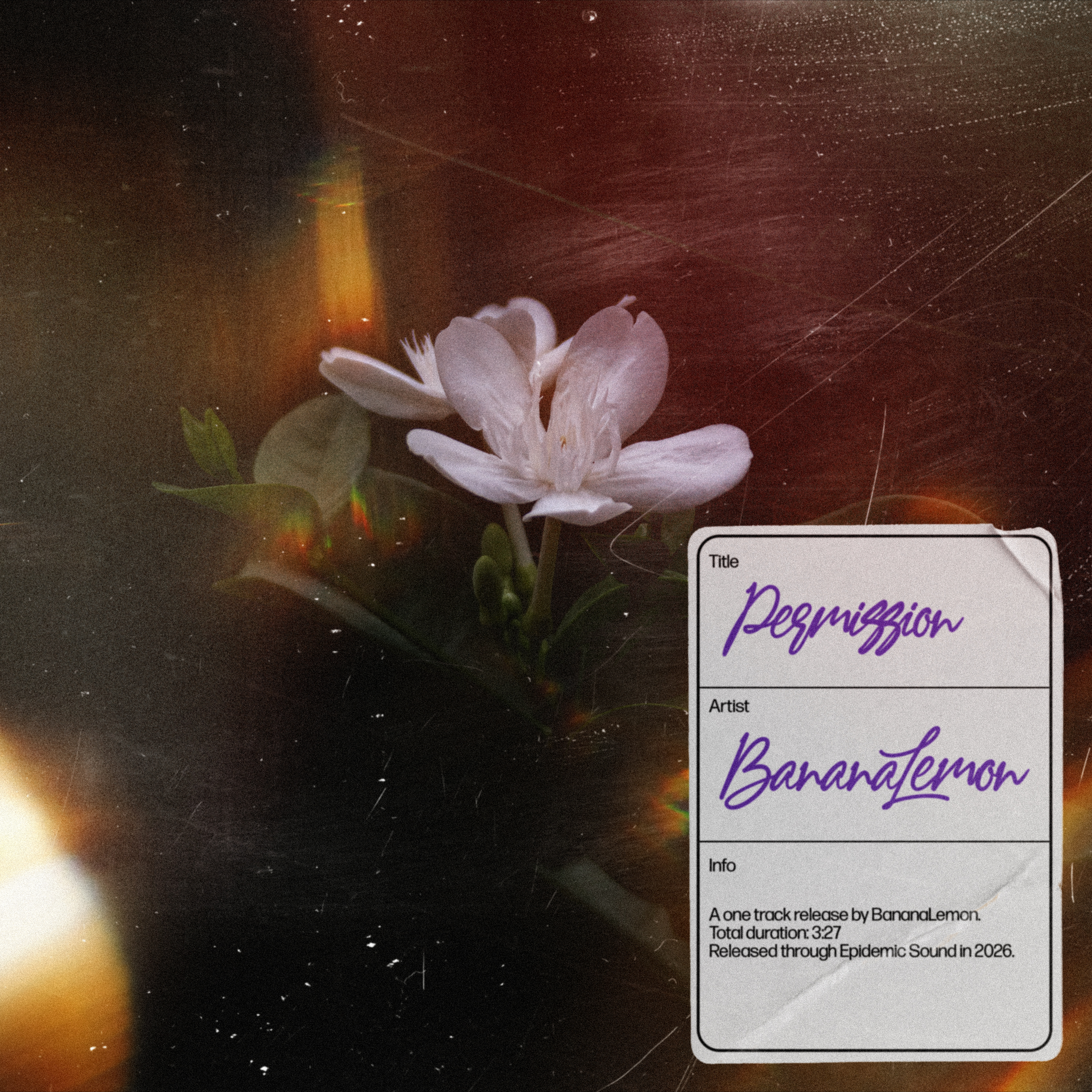 Permission (Instrumental Version)