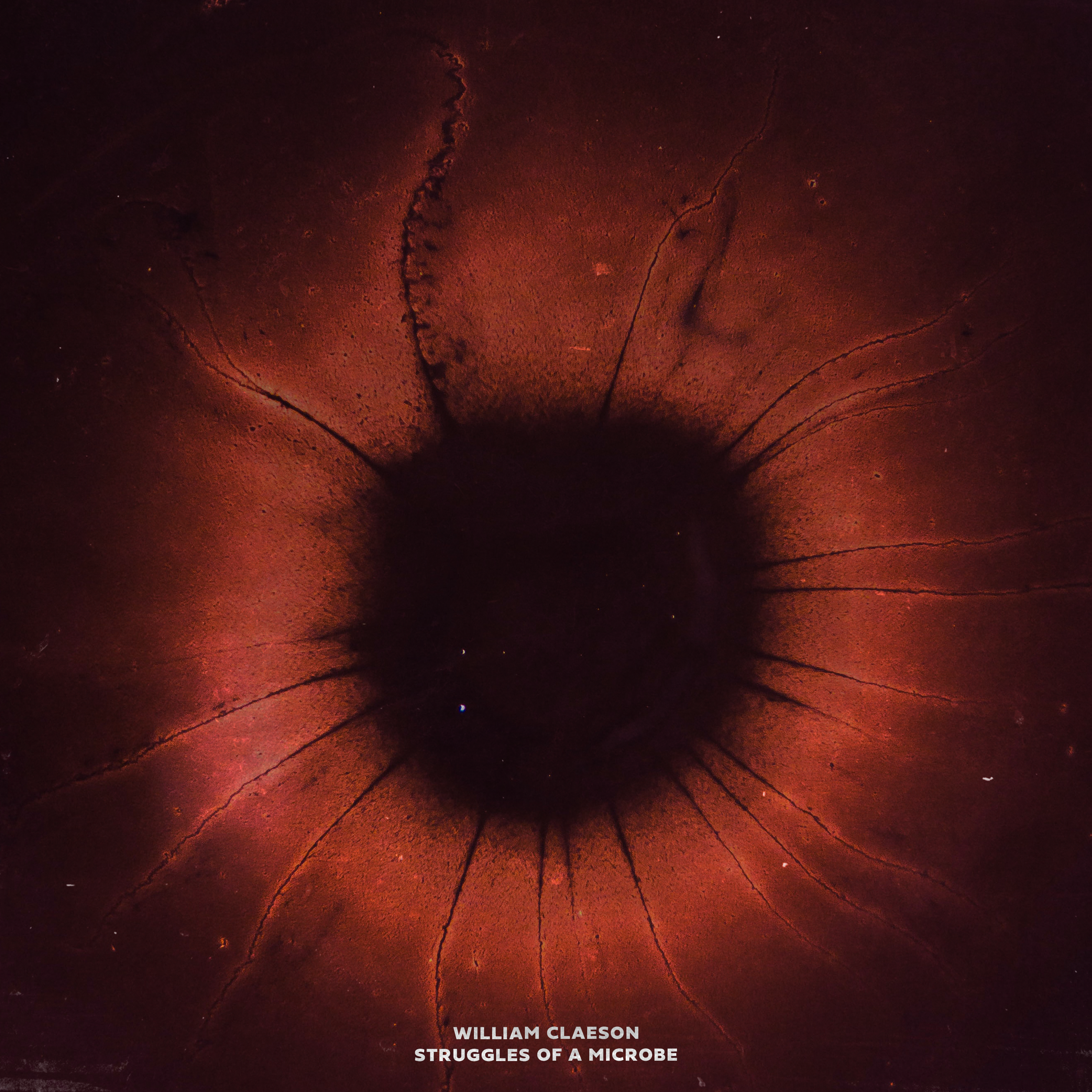 Struggles of a Microbe