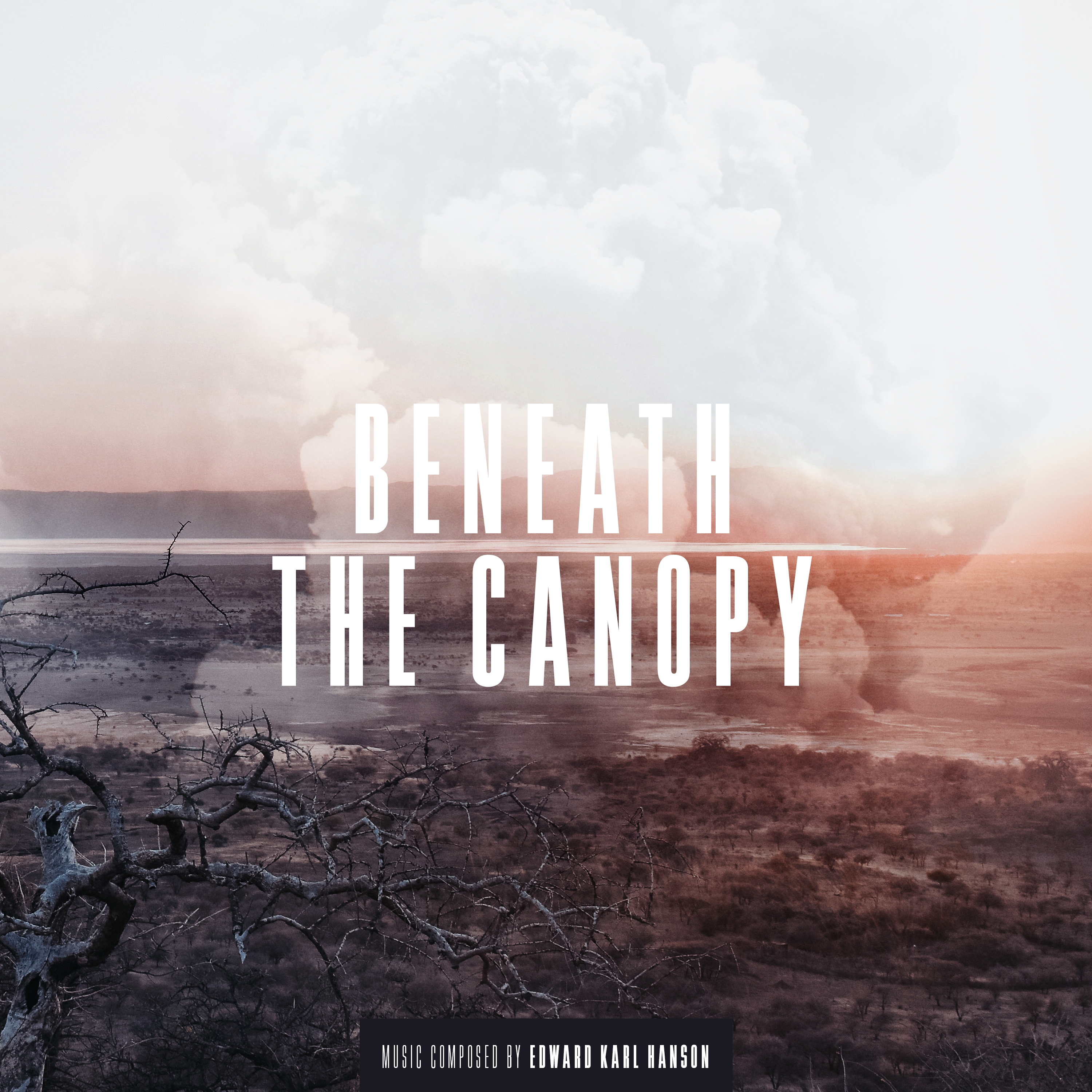 How We'll Be Remembered