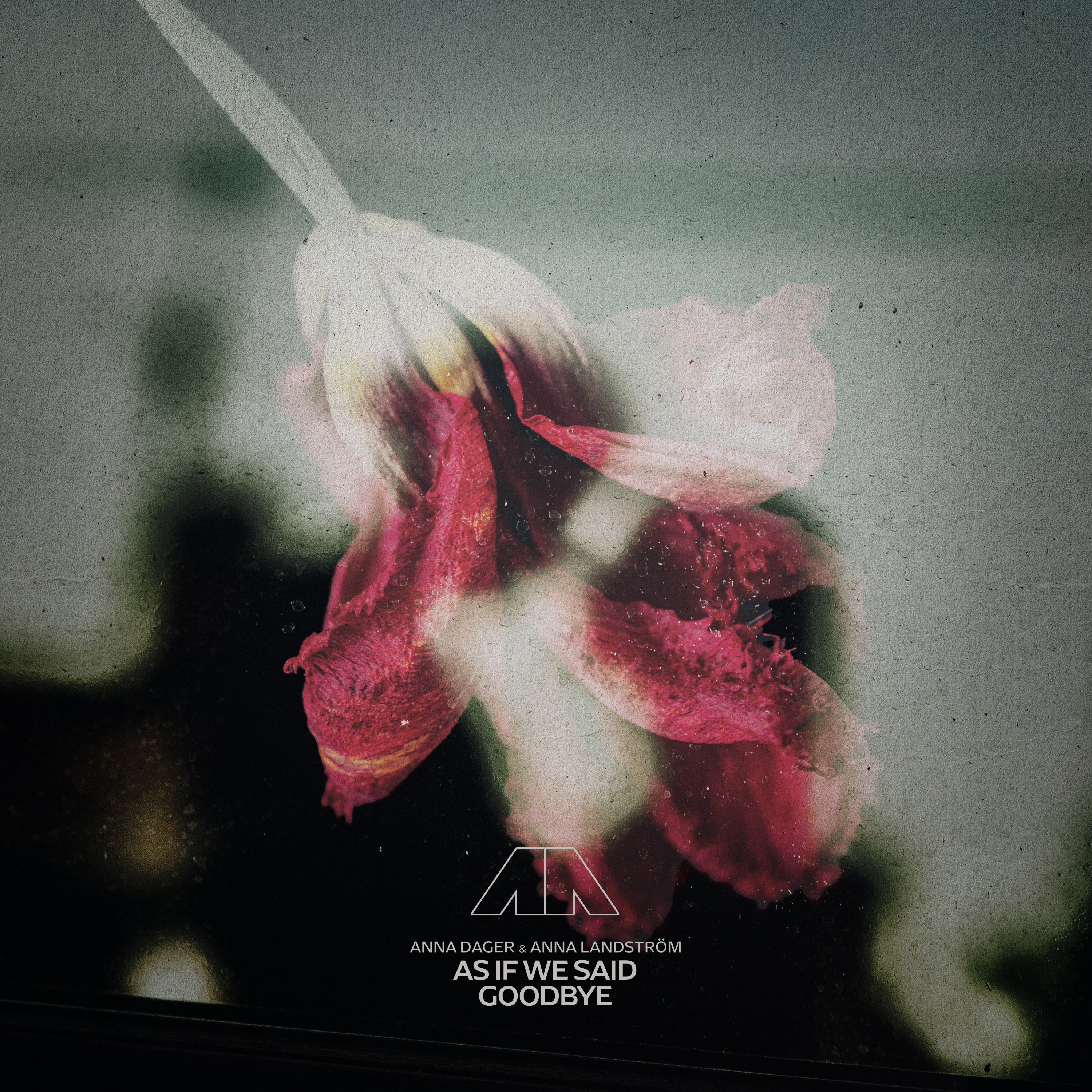 As If We Said Goodbye