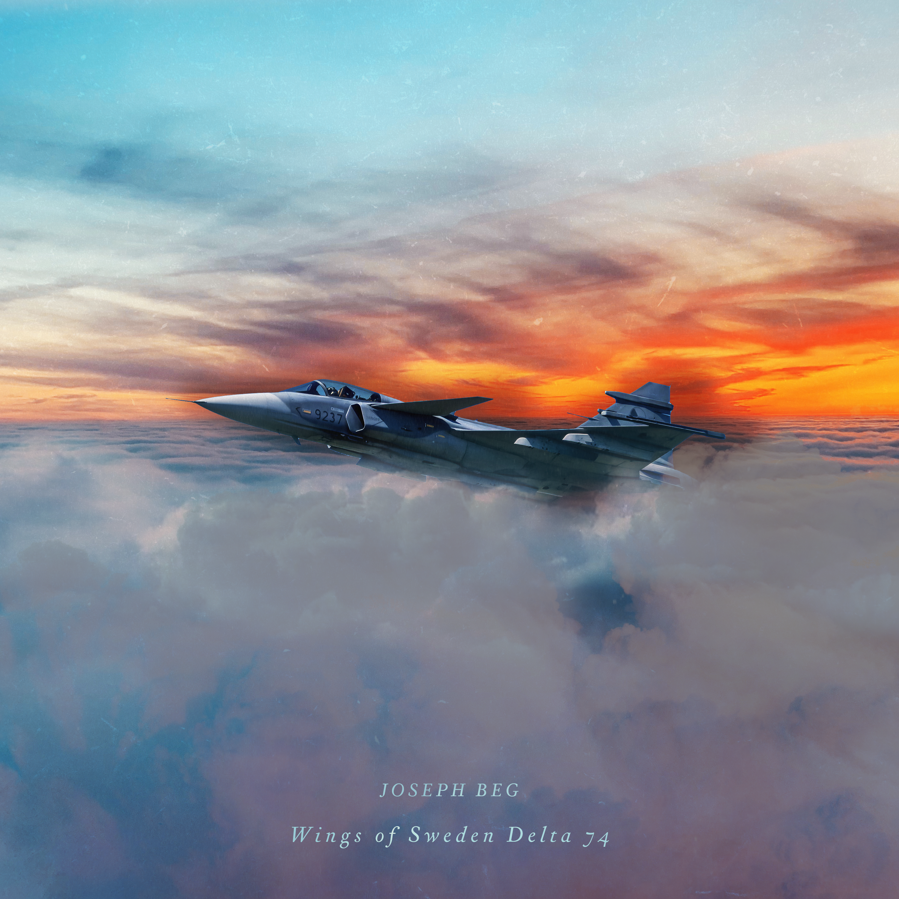 Wings of Sweden Delta 74