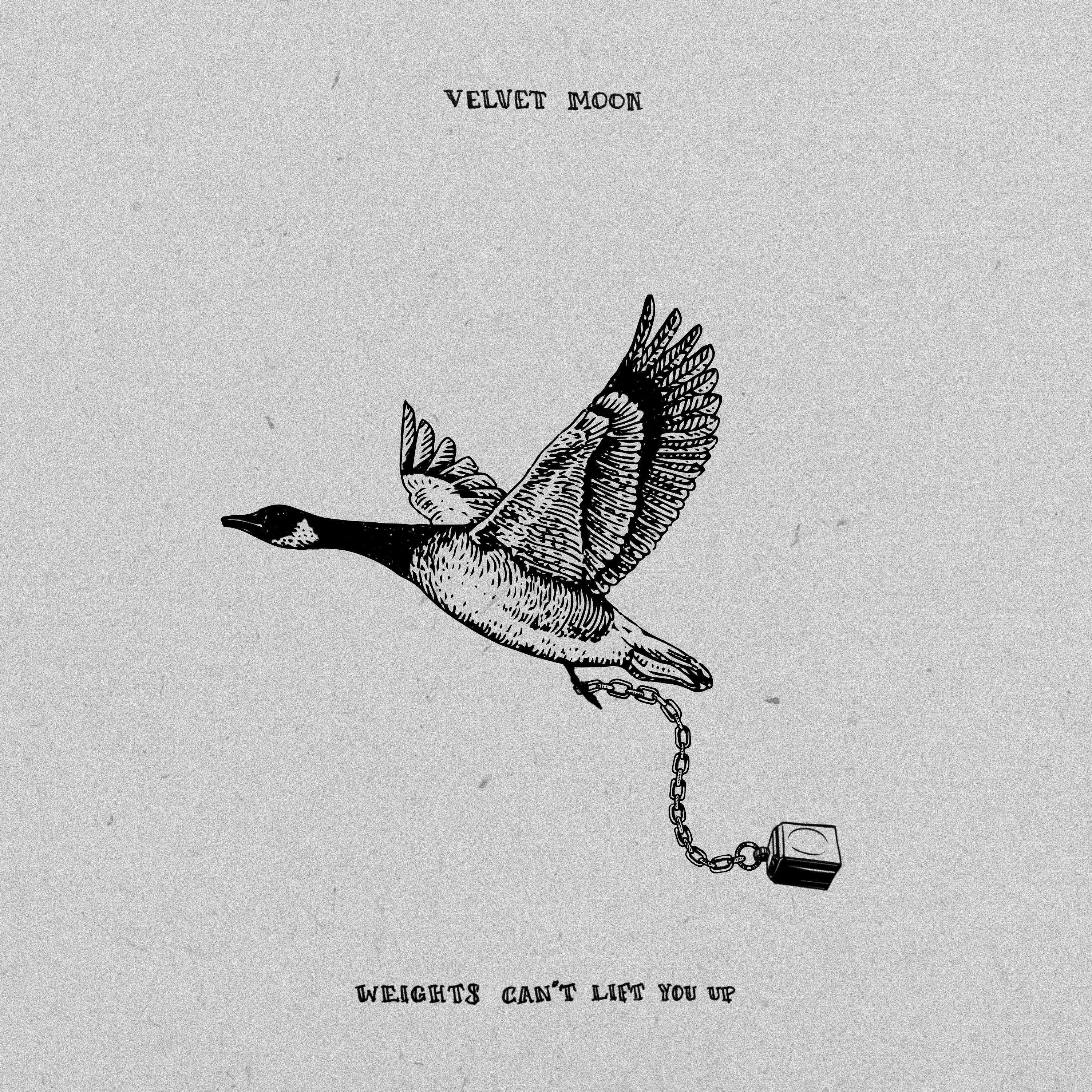 Weights Can't Lift You Up