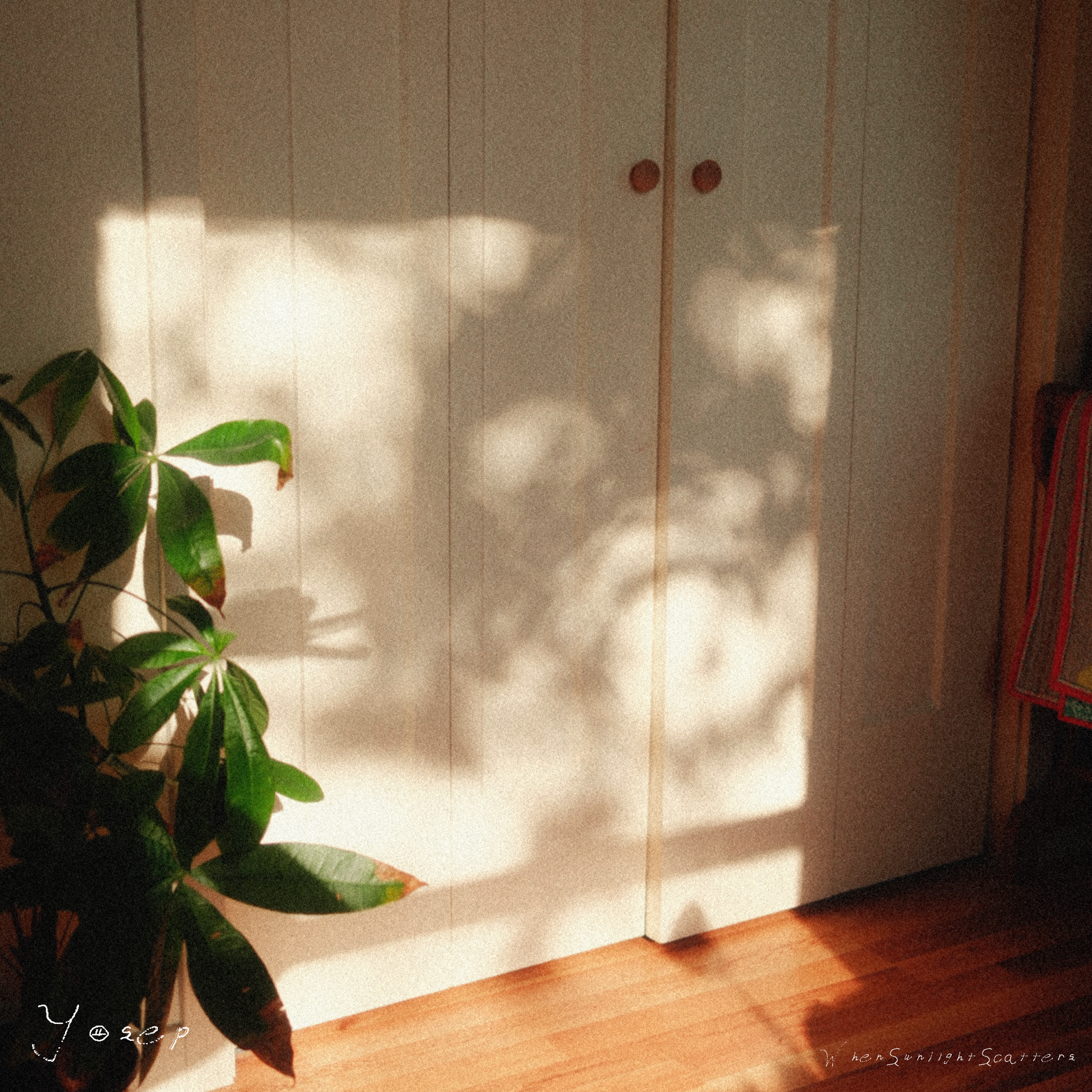 when sunlight scatters