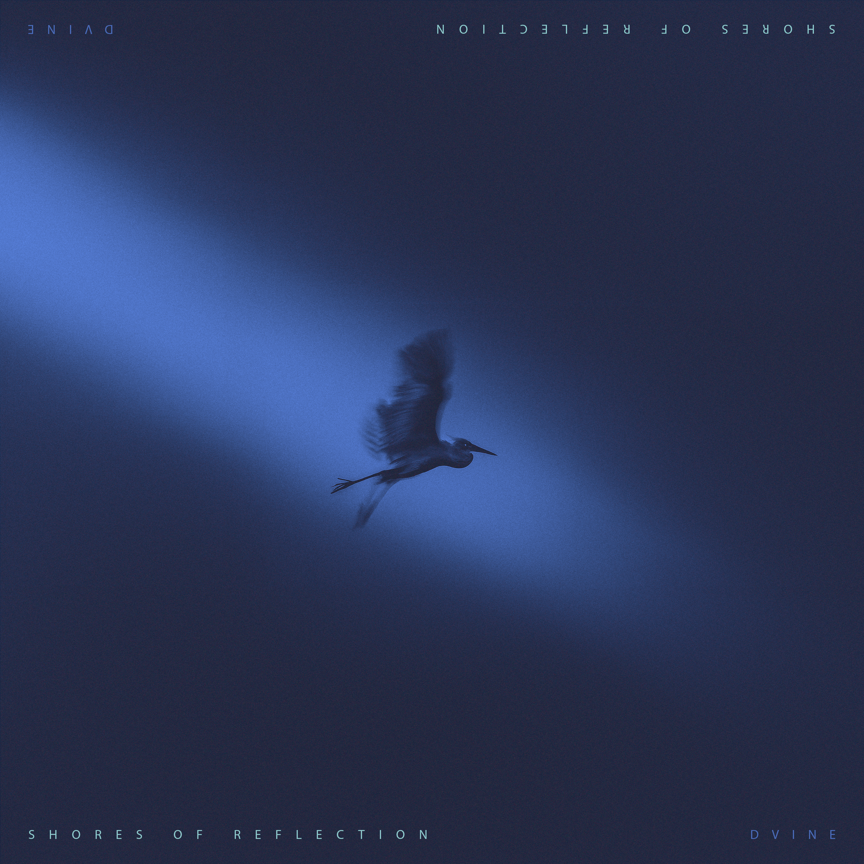 Shores of Reflection