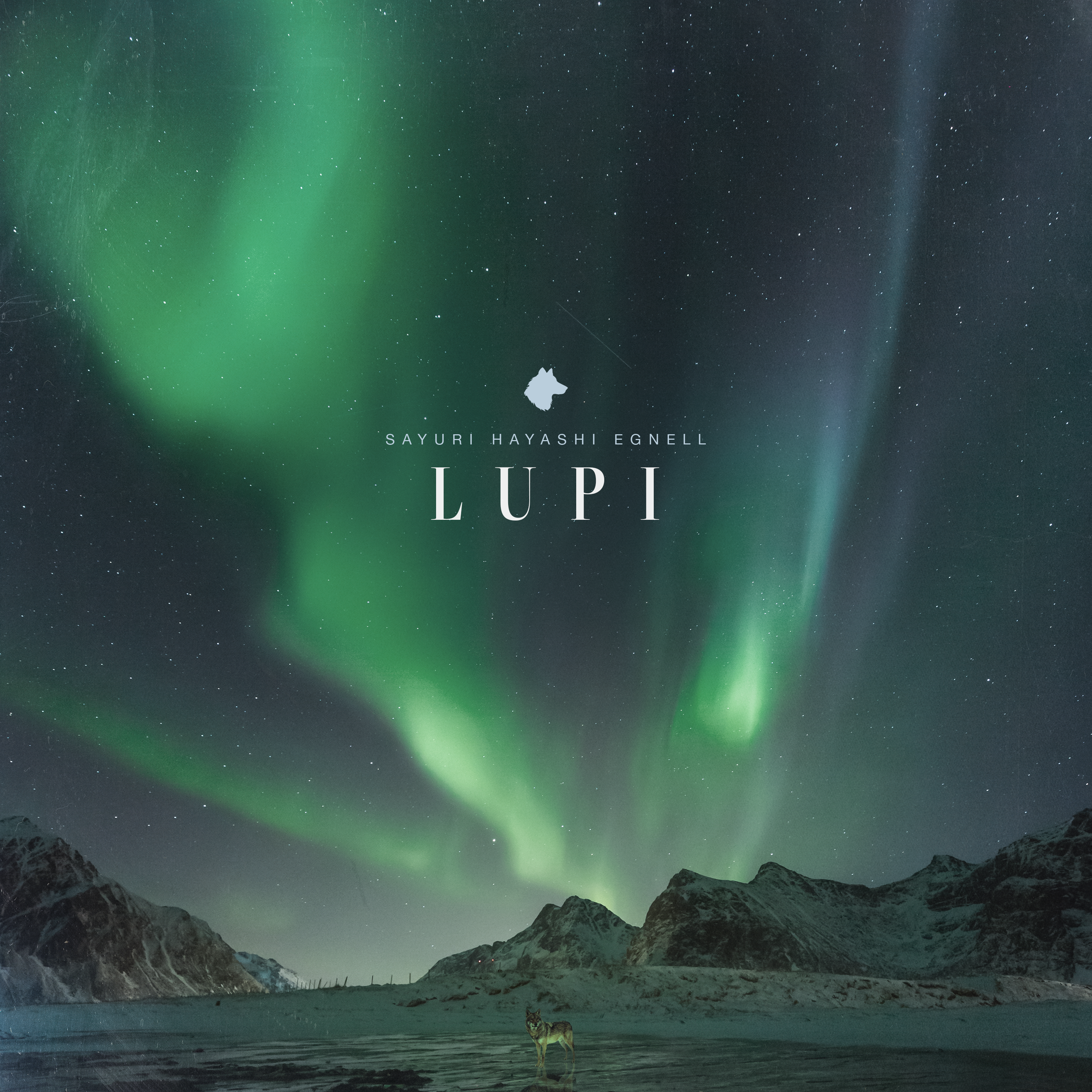 We Got Our First Snow