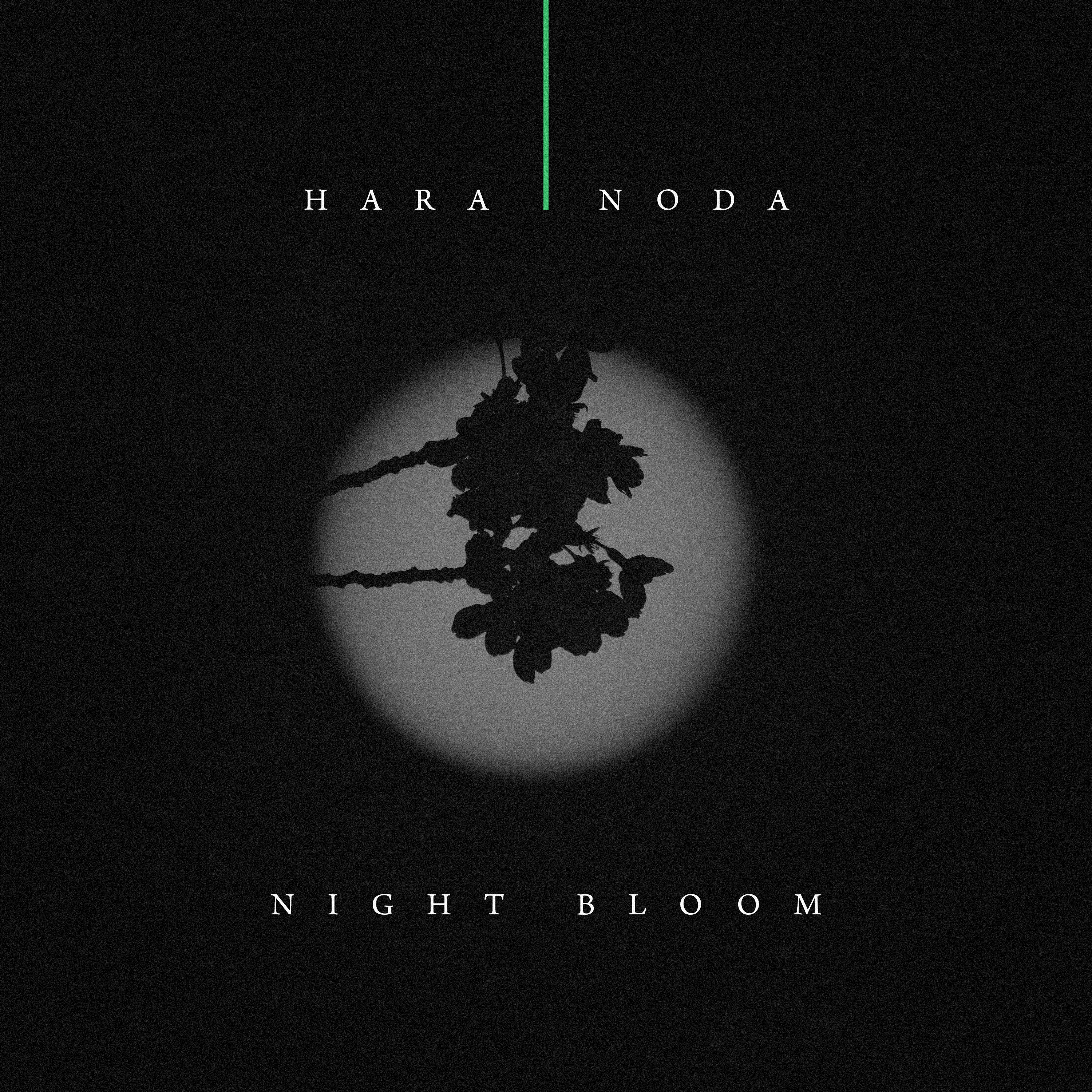 Night Bloom
