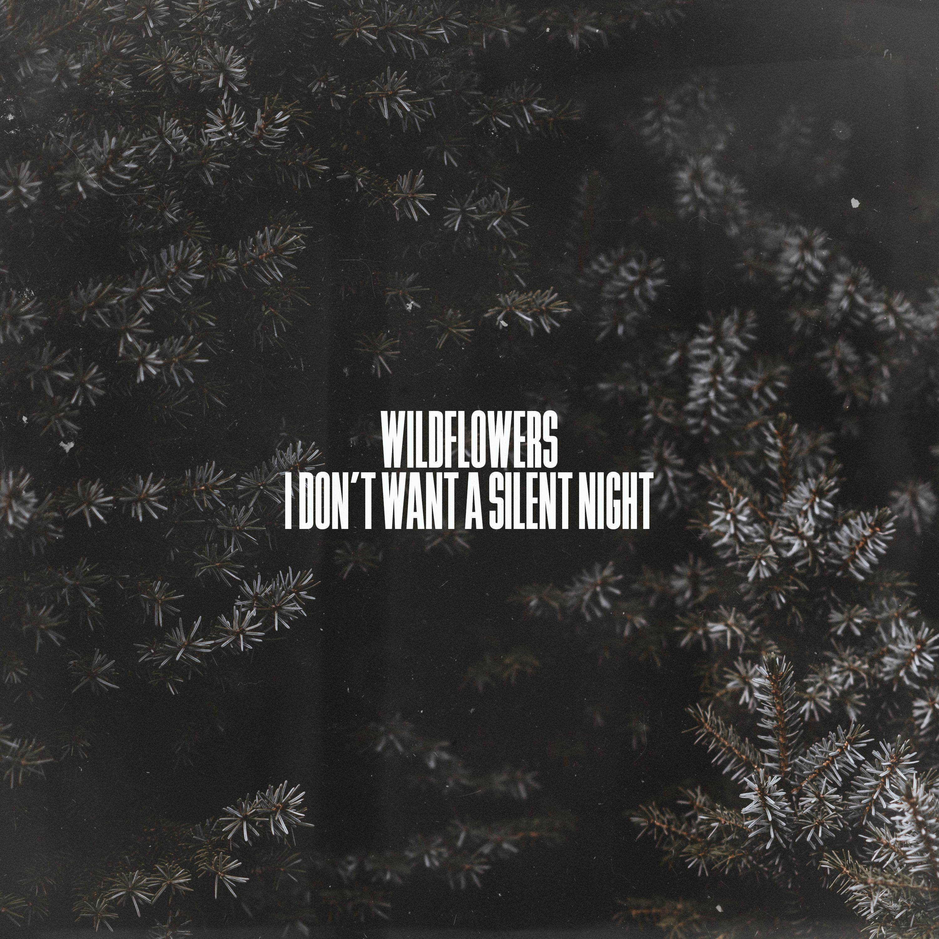I Don't Want a Silent Night