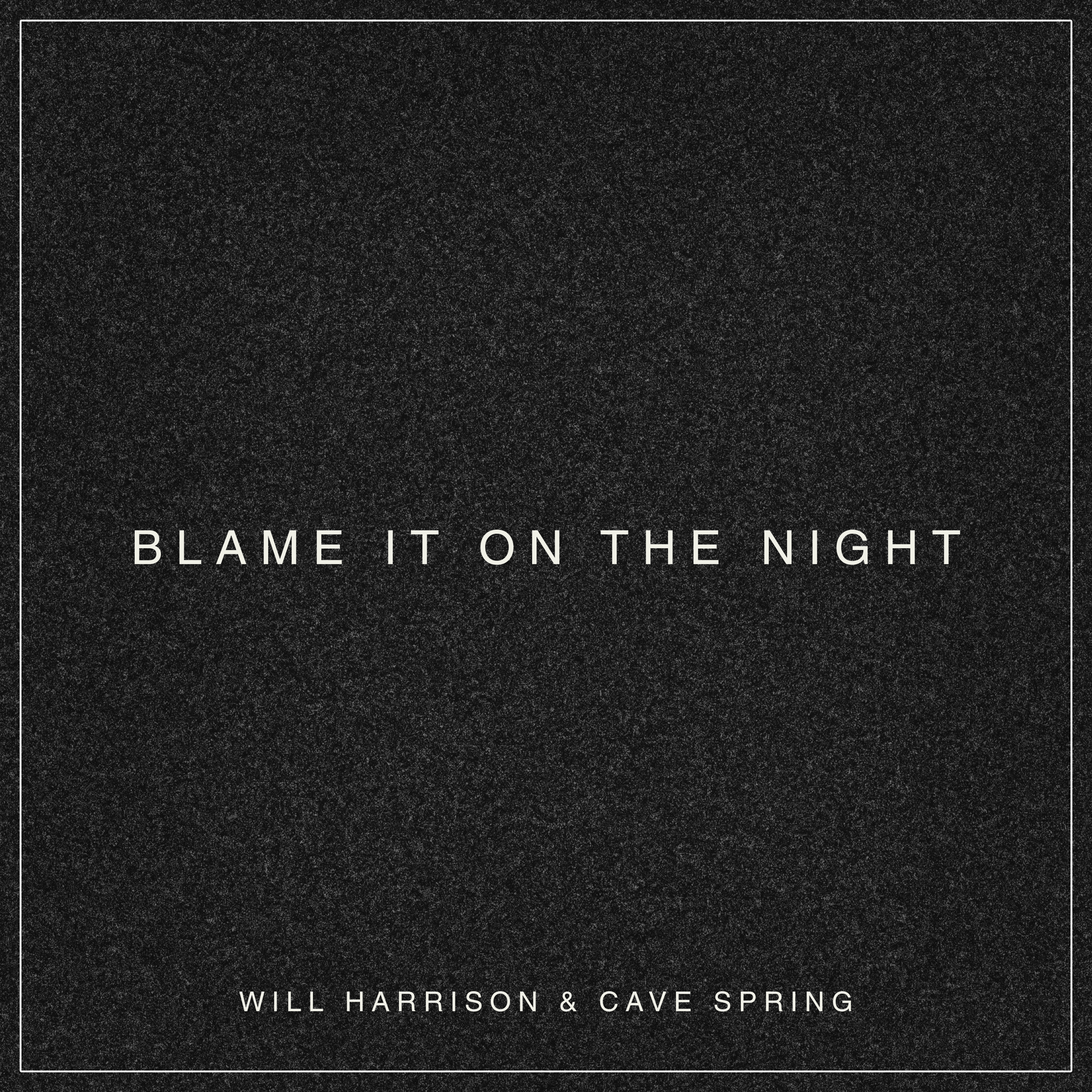 Blame It on the Night (Instrumental Version)