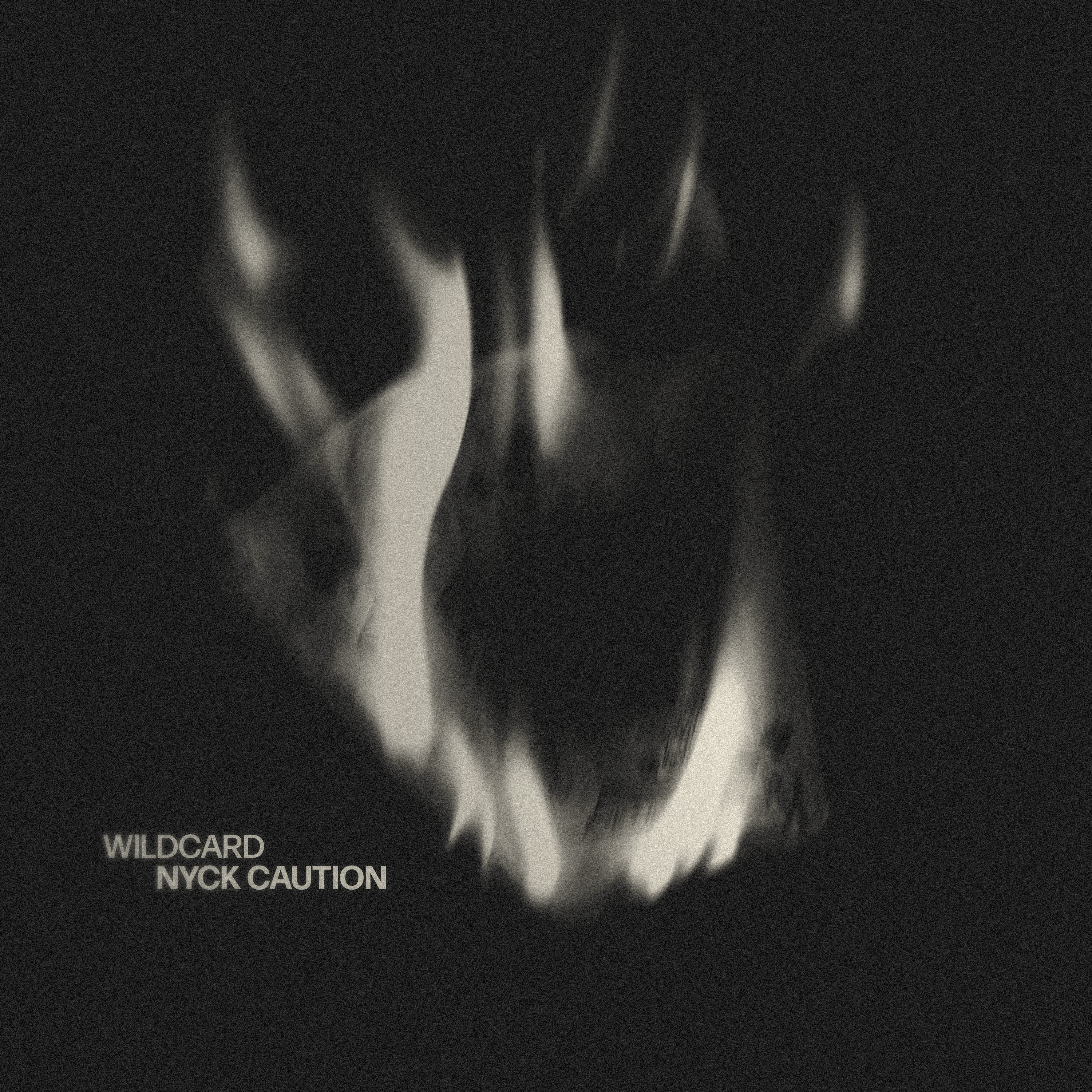 Wildcard (Clean Version)