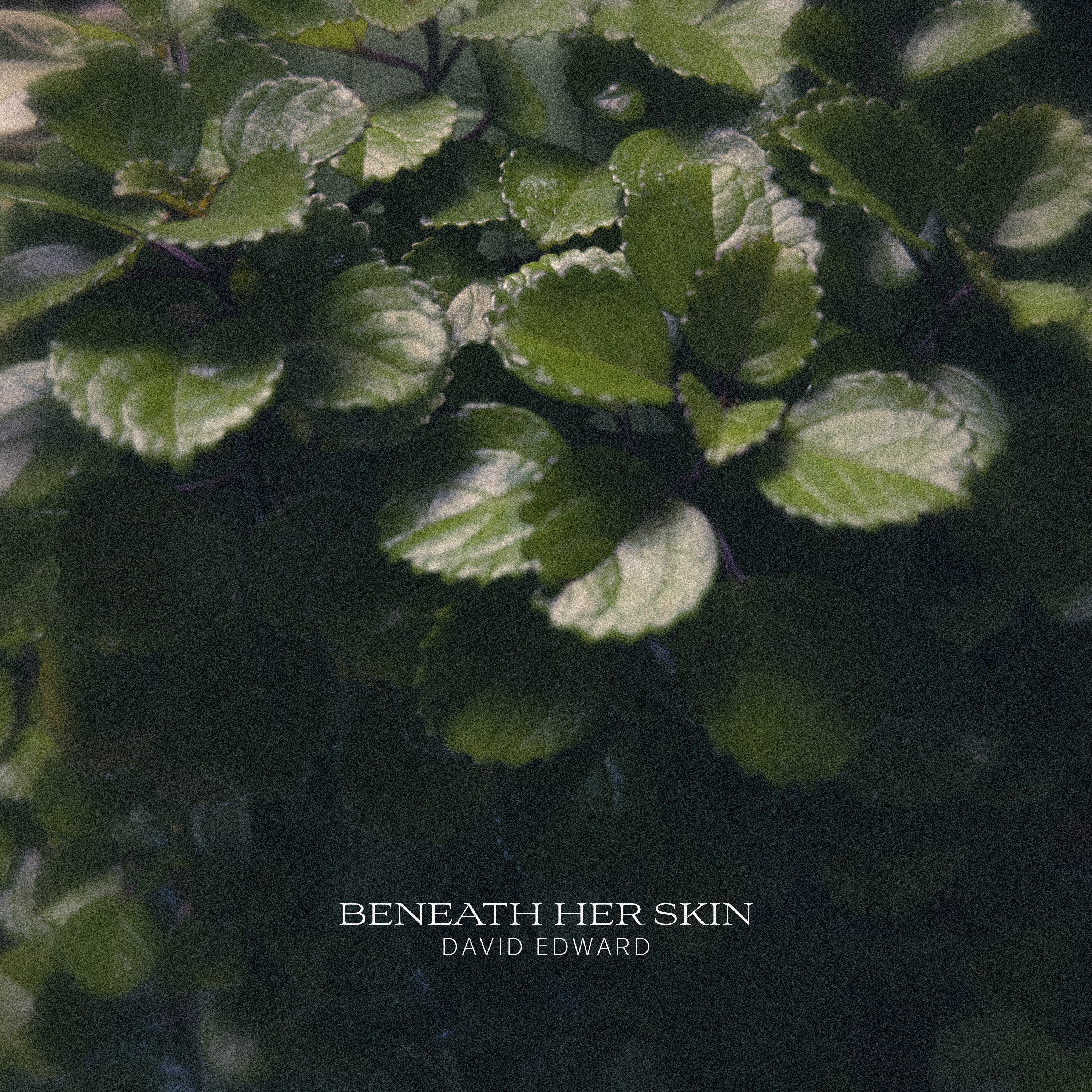Beneath Her Skin (Instrumental Version)