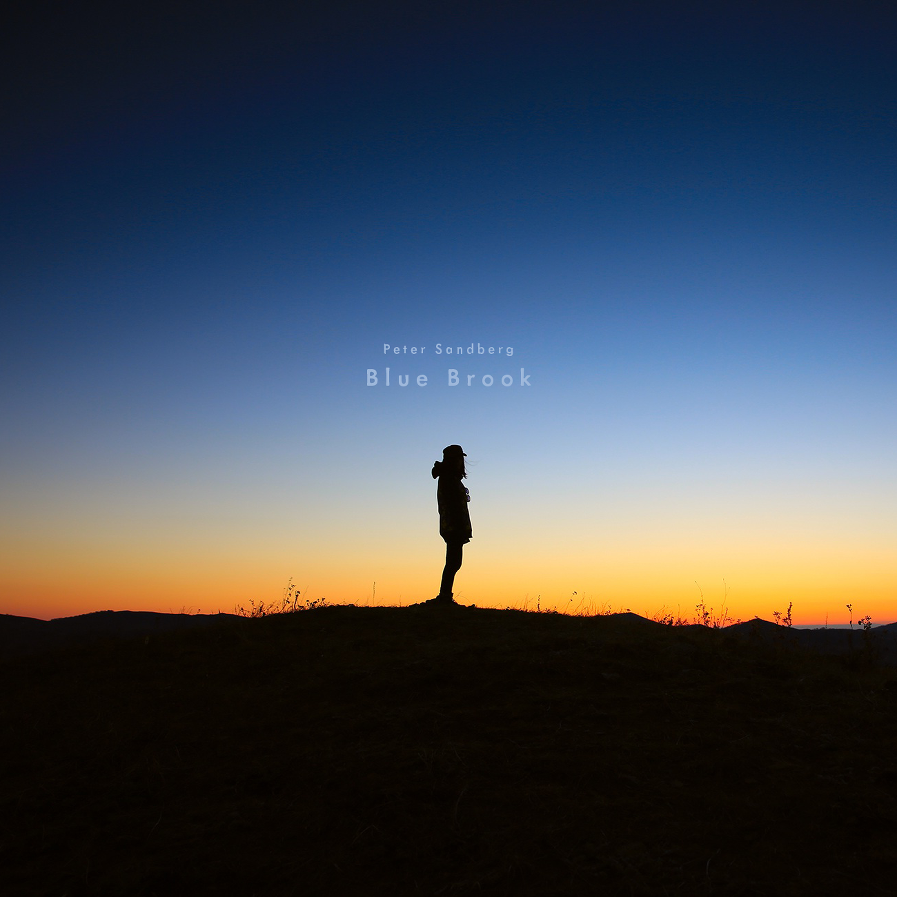 Leaf (Scaled Down Version)