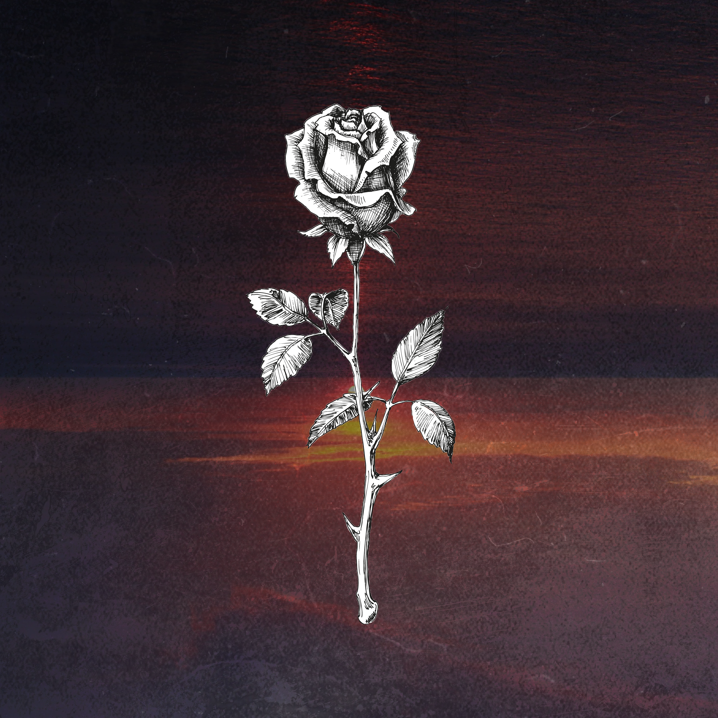 Embrace the Darkness, Embrace the Light