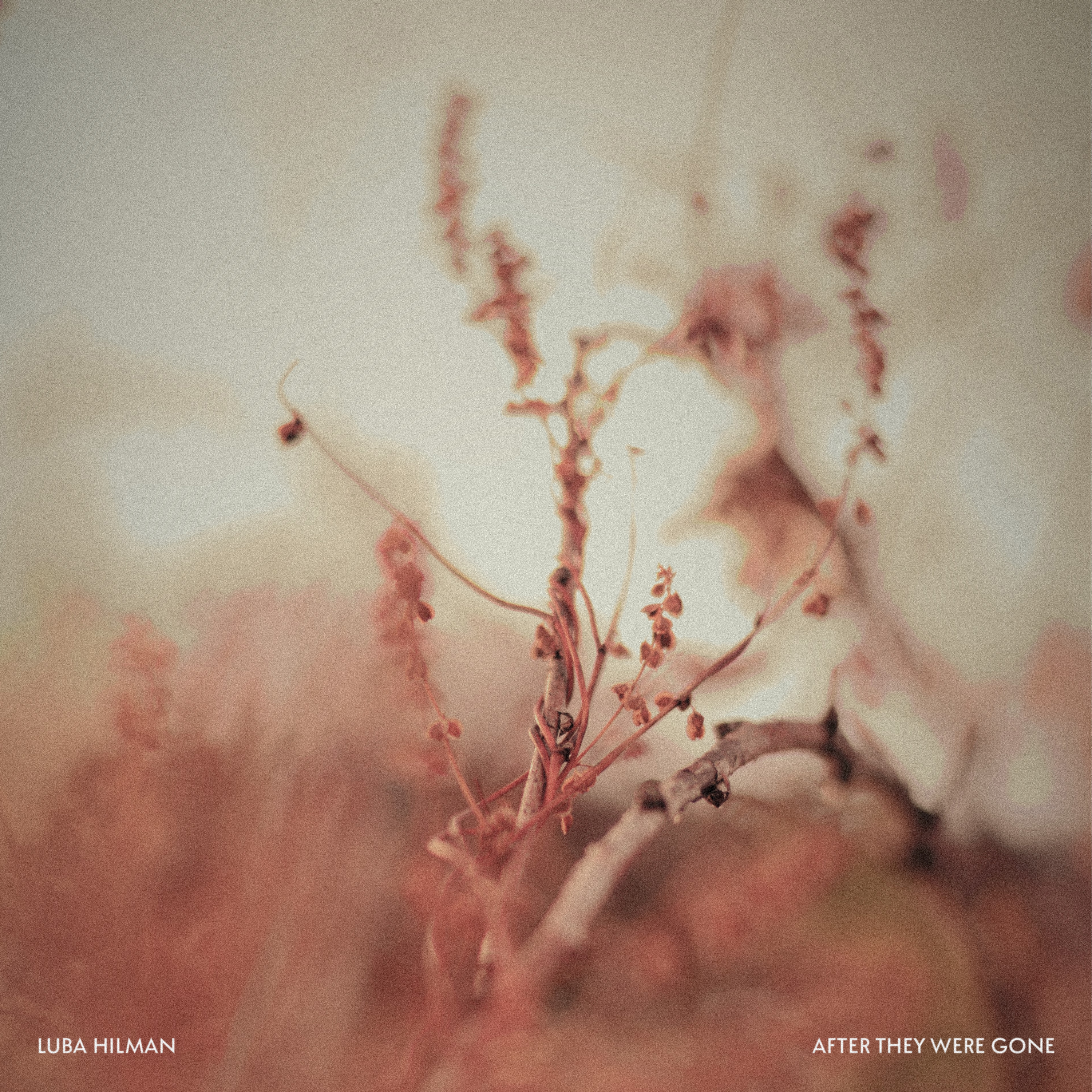 After They Were Gone