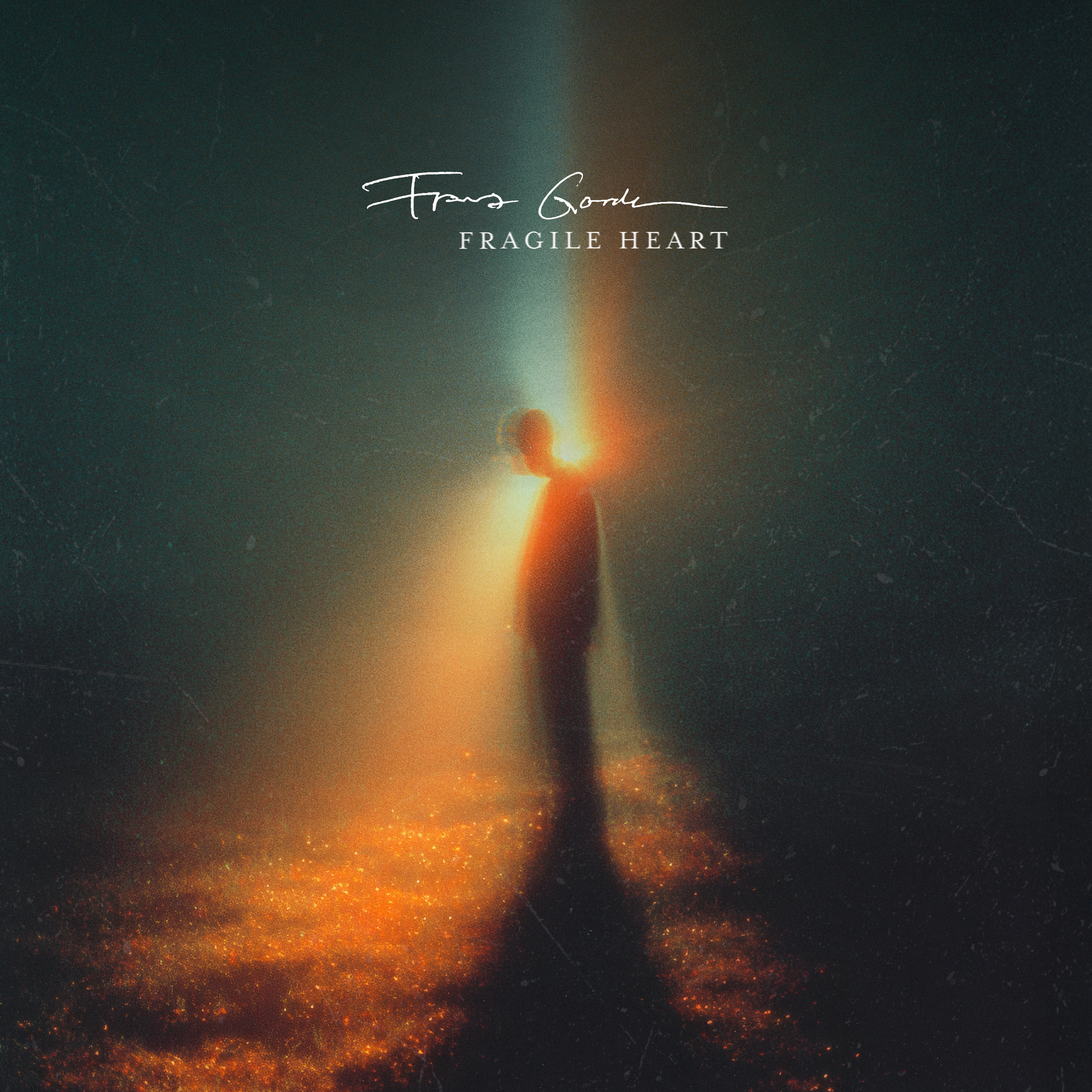 Fragile Heart